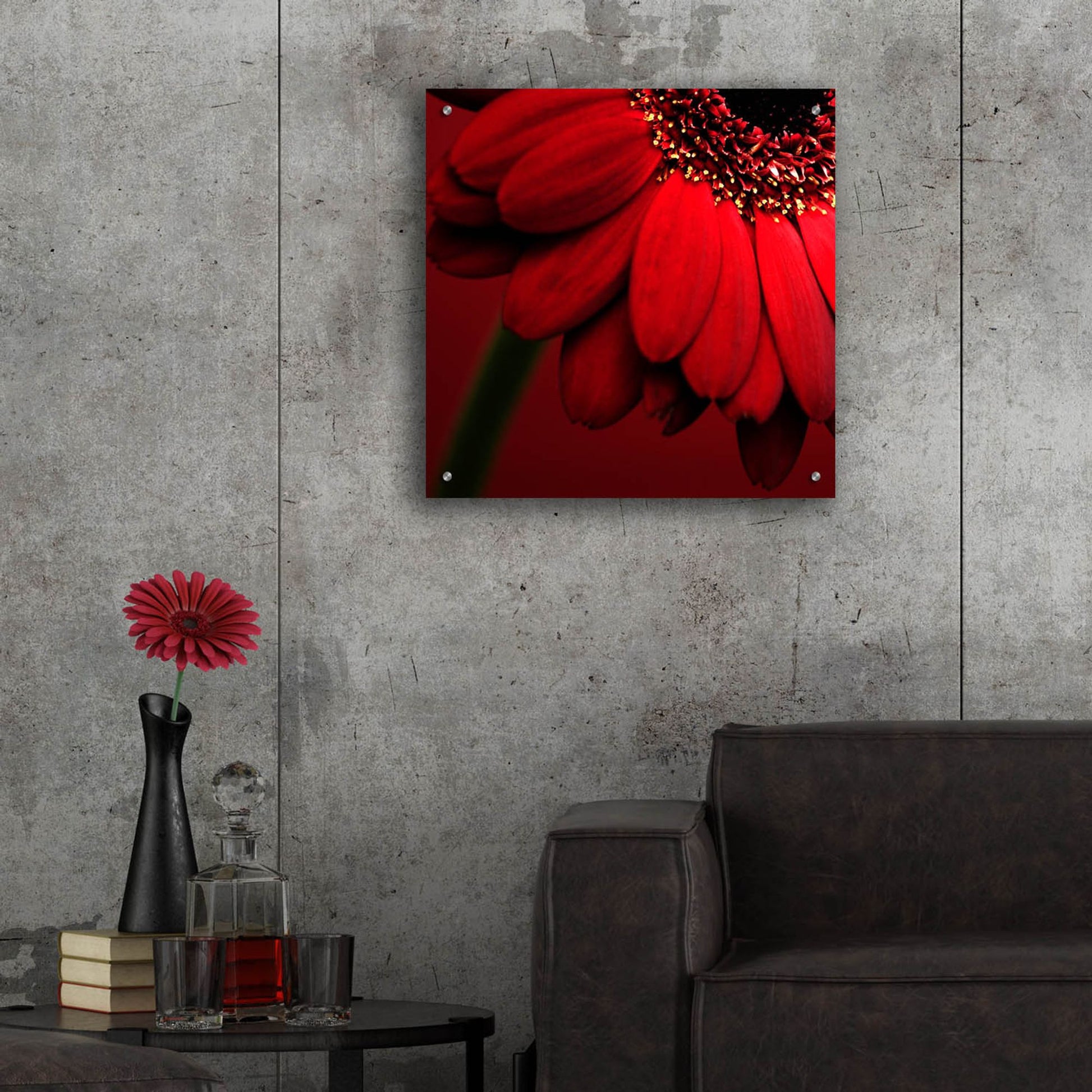 Epic Art 'Red Gerbera on Red 02' by Tom Quartermaine, Acrylic Glass Wall Art,24x24