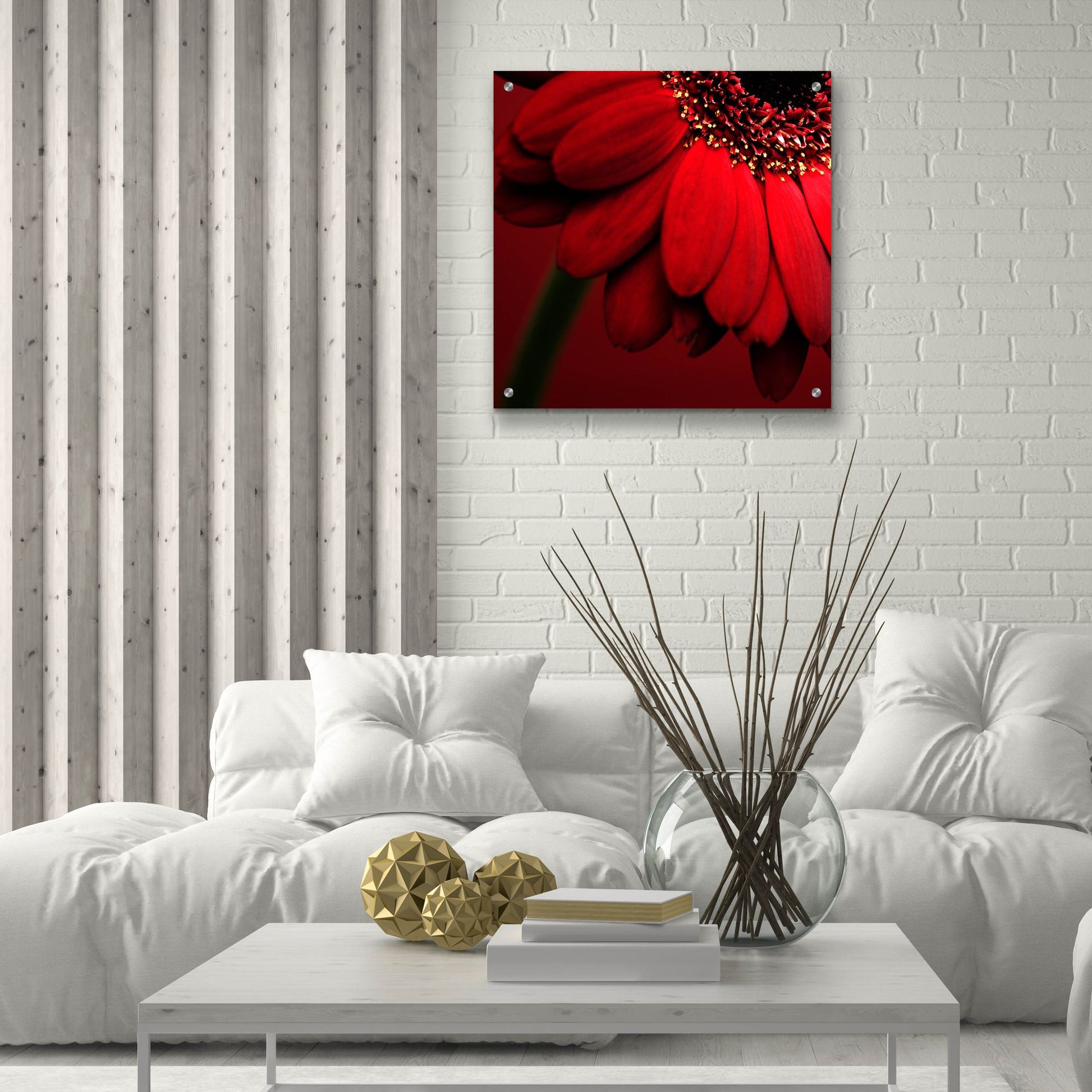 Epic Art 'Red Gerbera on Red 02' by Tom Quartermaine, Acrylic Glass Wall Art,24x24