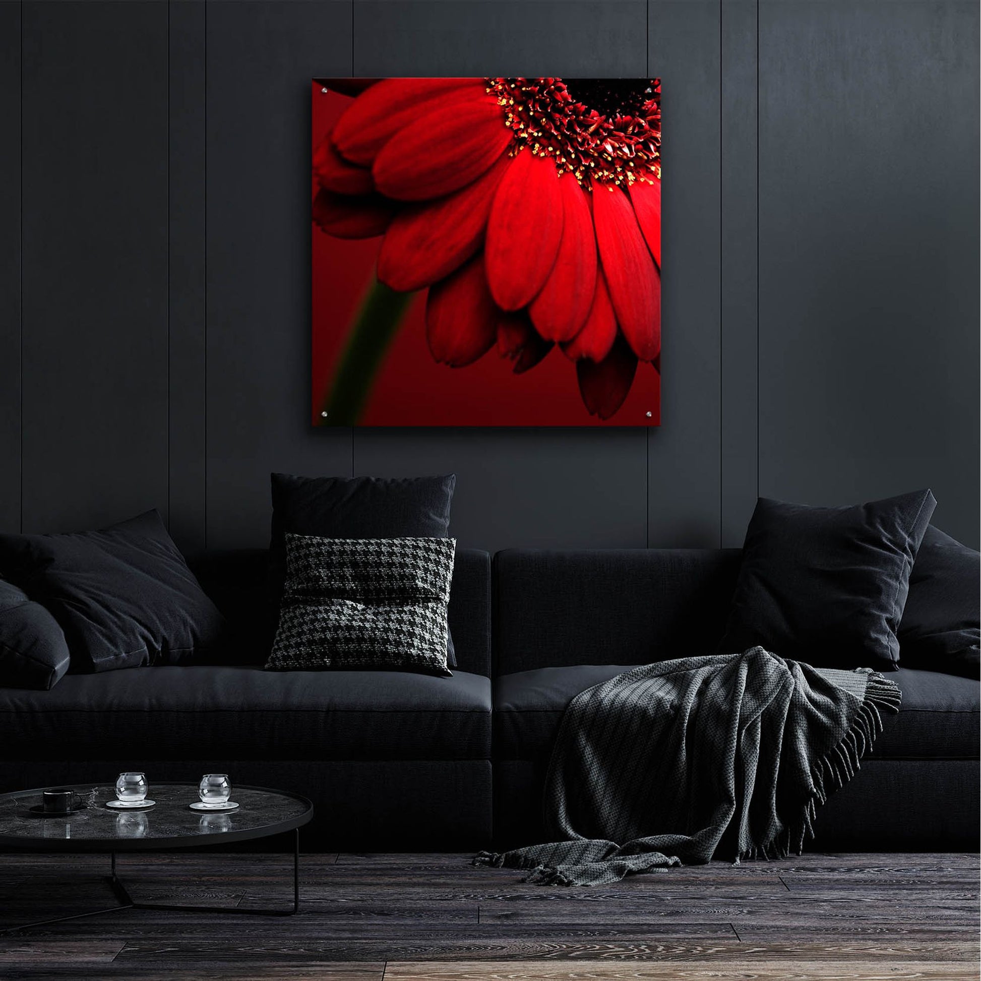 Epic Art 'Red Gerbera on Red 02' by Tom Quartermaine, Acrylic Glass Wall Art,36x36