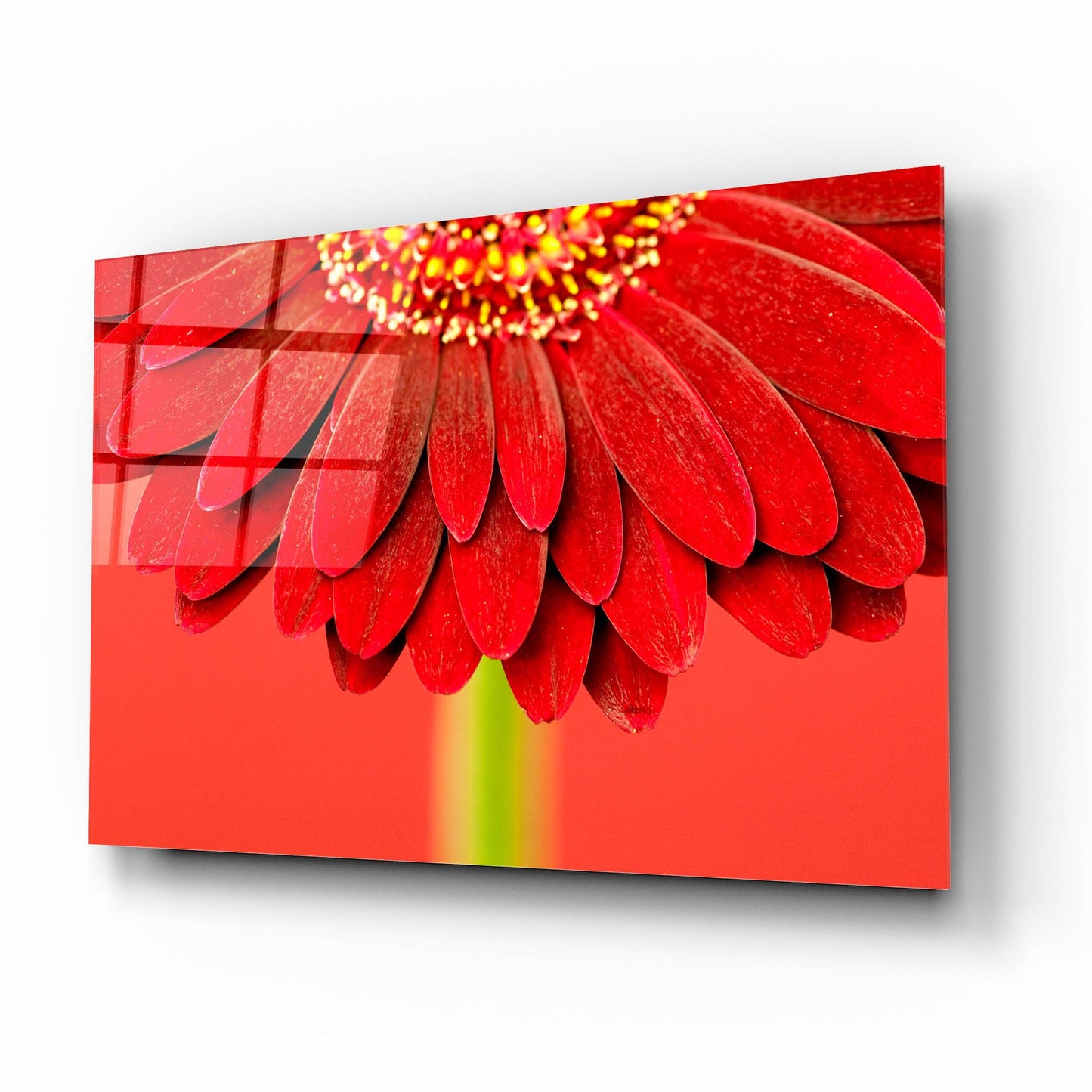 Epic Art 'Red Gerbera on Red 04' by Tom Quartermaine, Acrylic Glass Wall Art,16x12