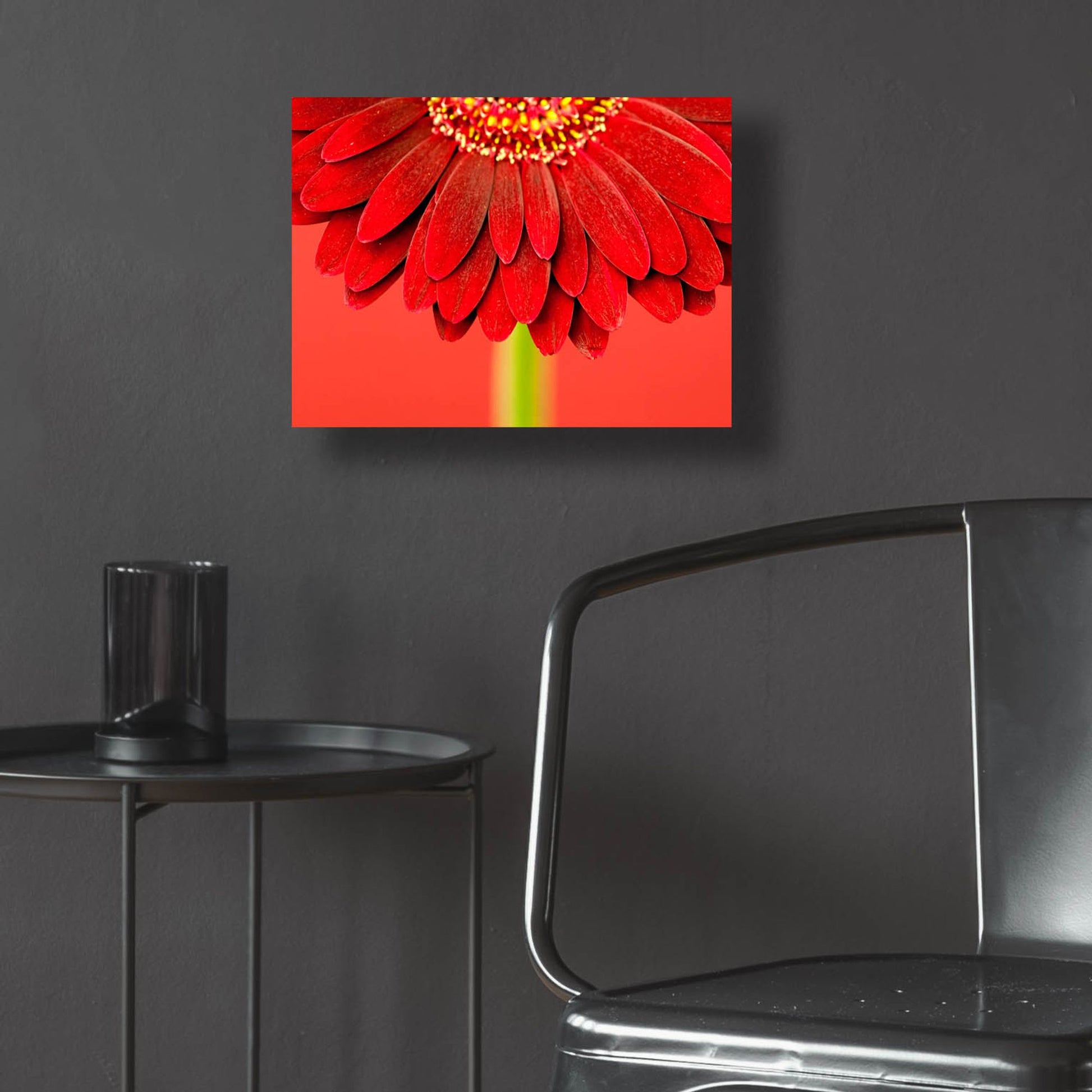 Epic Art 'Red Gerbera on Red 04' by Tom Quartermaine, Acrylic Glass Wall Art,16x12