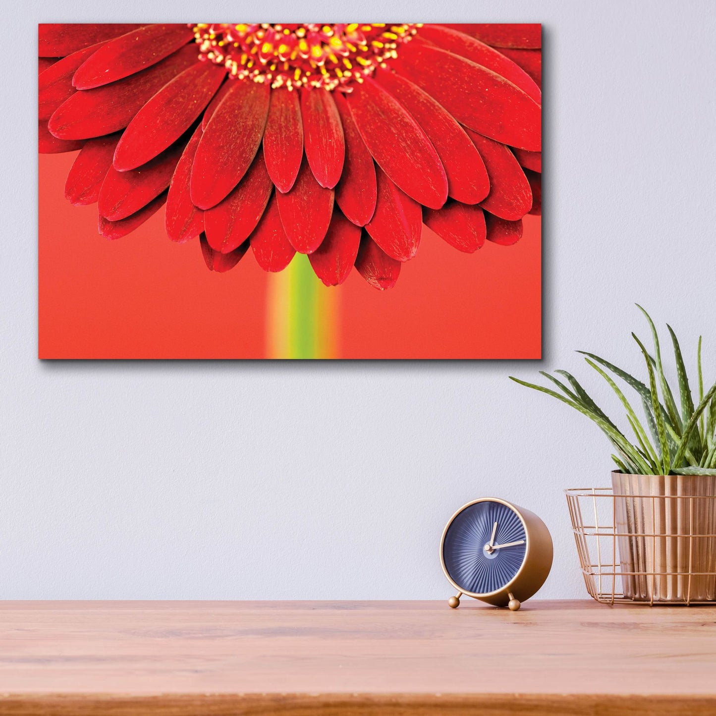 Epic Art 'Red Gerbera on Red 04' by Tom Quartermaine, Acrylic Glass Wall Art,16x12