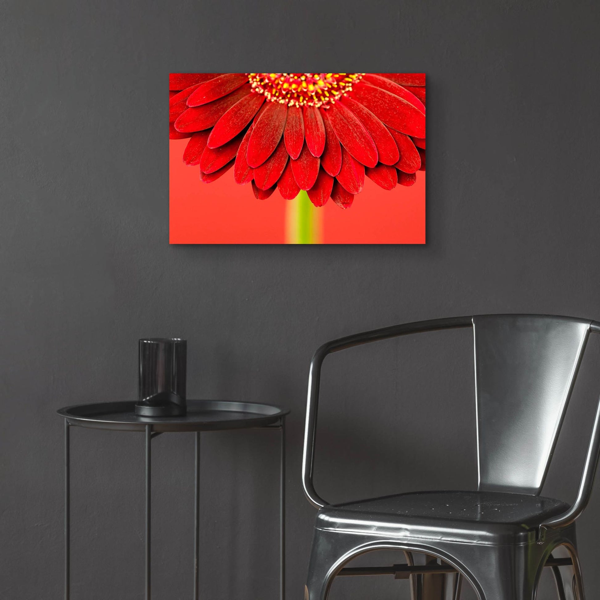 Epic Art 'Red Gerbera on Red 04' by Tom Quartermaine, Acrylic Glass Wall Art,24x16