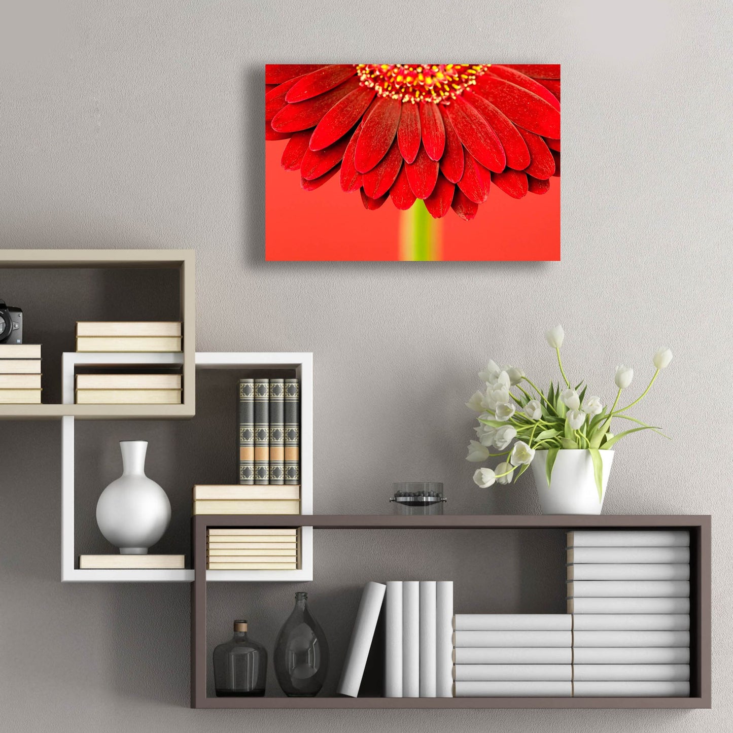 Epic Art 'Red Gerbera on Red 04' by Tom Quartermaine, Acrylic Glass Wall Art,24x16