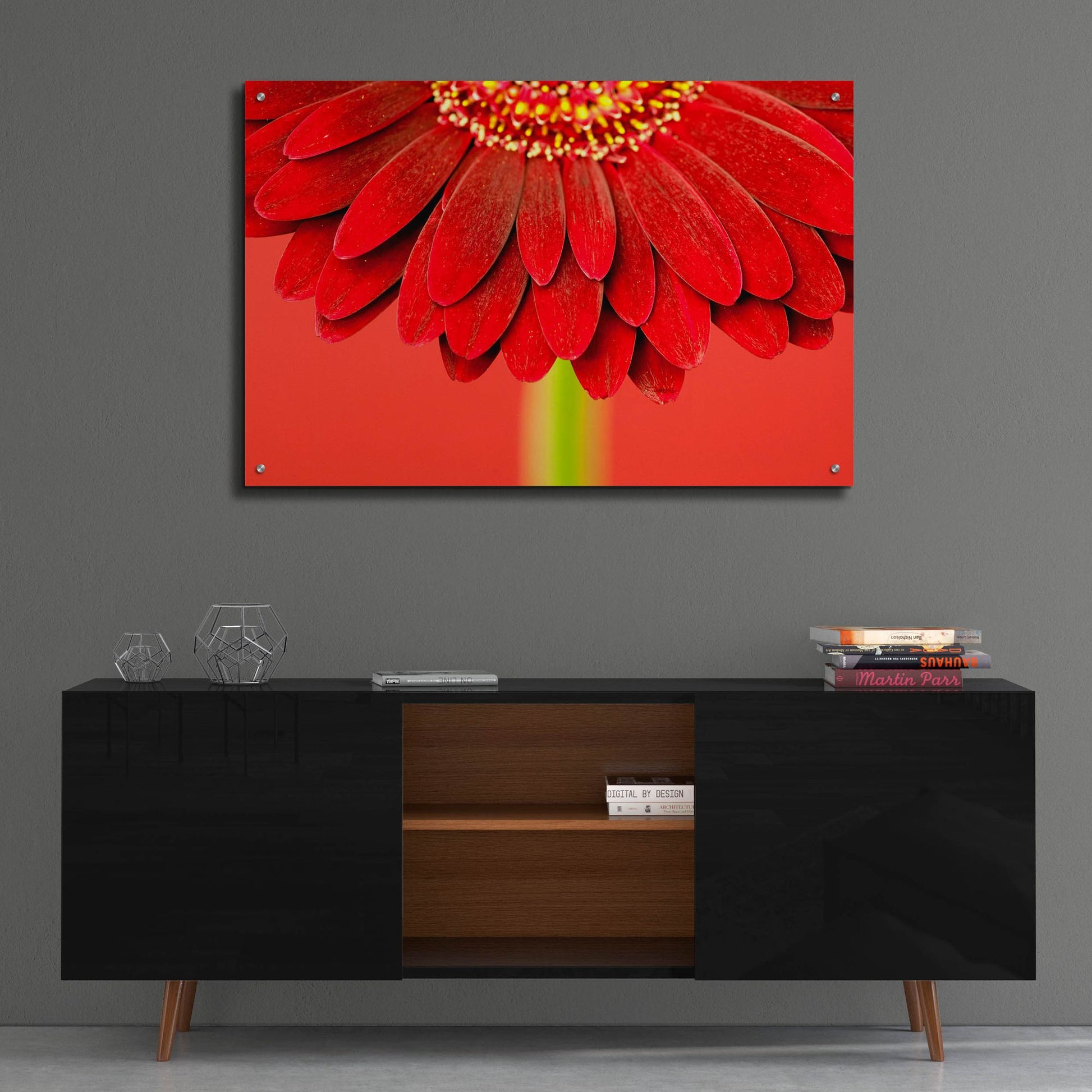 Epic Art 'Red Gerbera on Red 04' by Tom Quartermaine, Acrylic Glass Wall Art,36x24