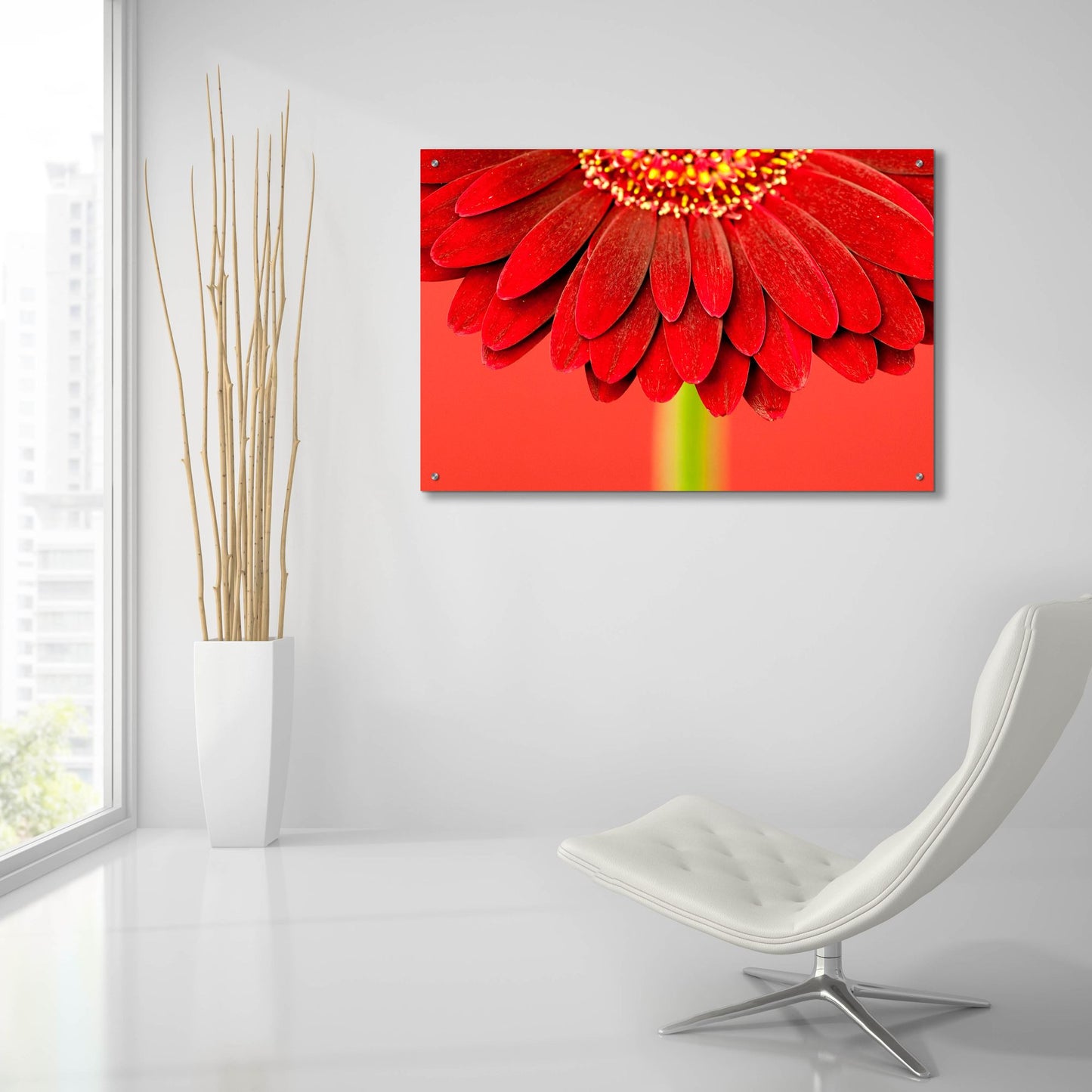 Epic Art 'Red Gerbera on Red 04' by Tom Quartermaine, Acrylic Glass Wall Art,36x24