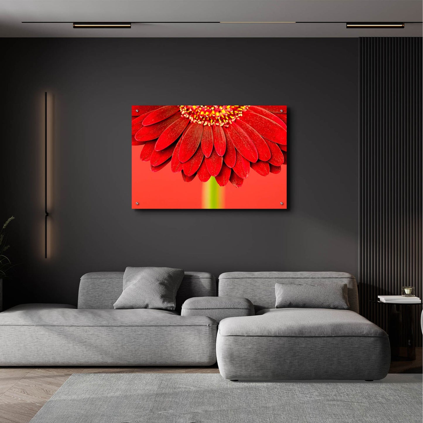 Epic Art 'Red Gerbera on Red 04' by Tom Quartermaine, Acrylic Glass Wall Art,36x24