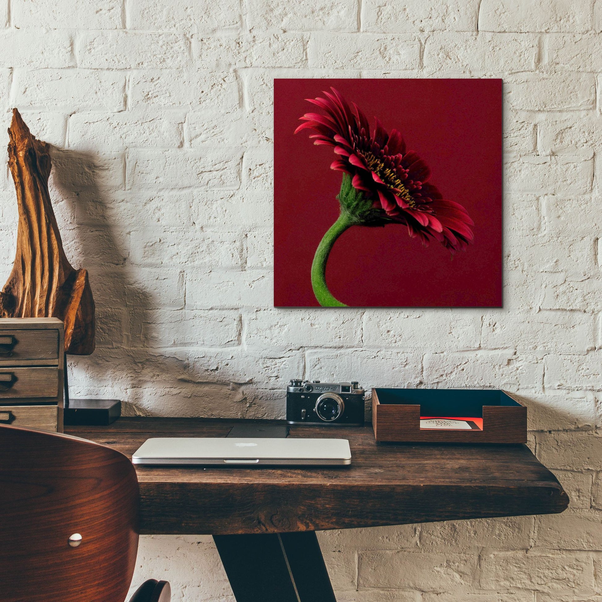 Epic Art 'Red Gerbera on Red 05' by Tom Quartermaine, Acrylic Glass Wall Art,12x12