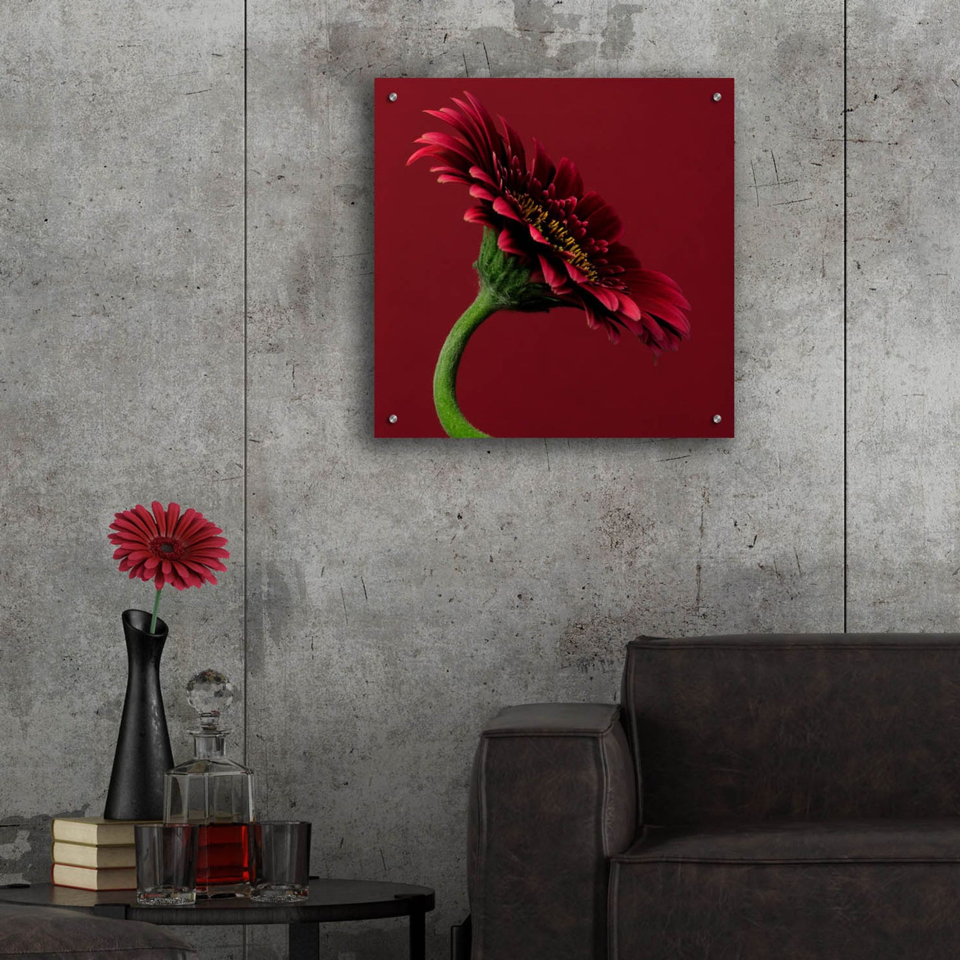 Epic Art 'Red Gerbera on Red 05' by Tom Quartermaine, Acrylic Glass Wall Art,24x24