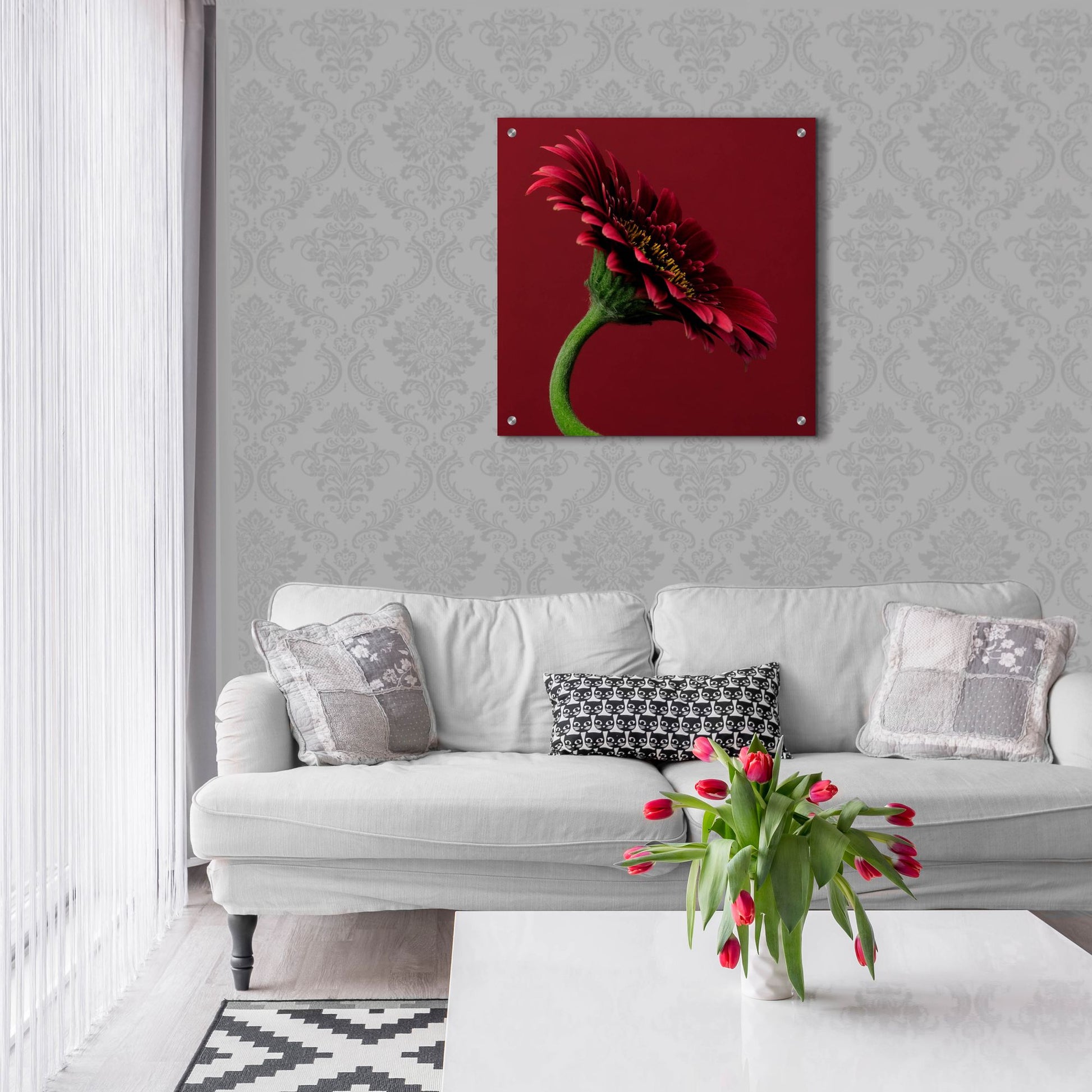 Epic Art 'Red Gerbera on Red 05' by Tom Quartermaine, Acrylic Glass Wall Art,24x24