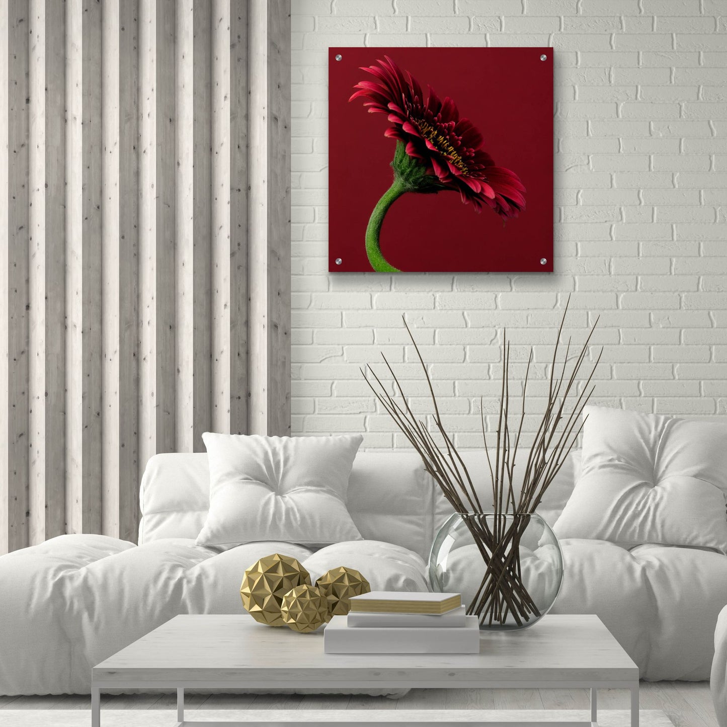 Epic Art 'Red Gerbera on Red 05' by Tom Quartermaine, Acrylic Glass Wall Art,24x24