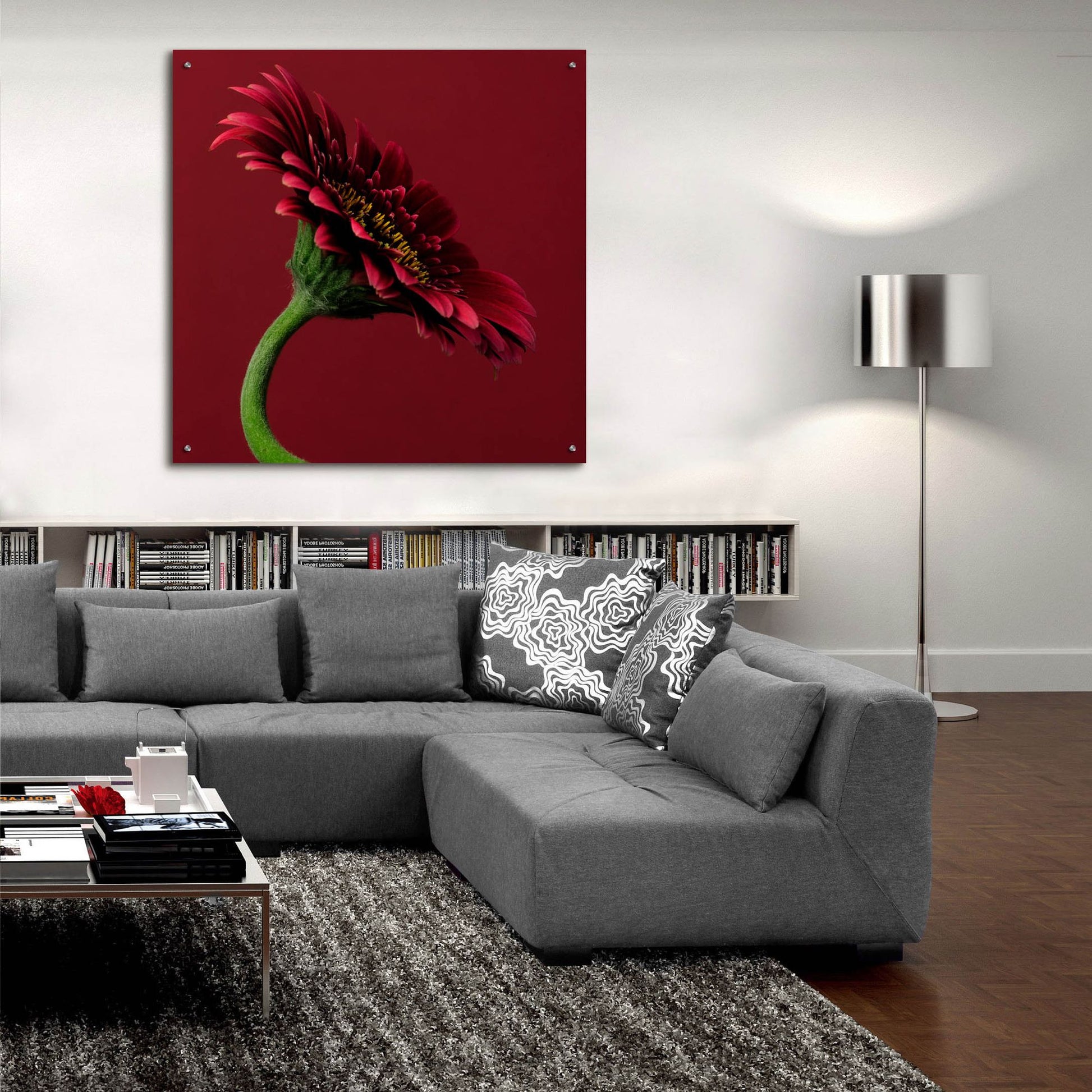 Epic Art 'Red Gerbera on Red 05' by Tom Quartermaine, Acrylic Glass Wall Art,36x36