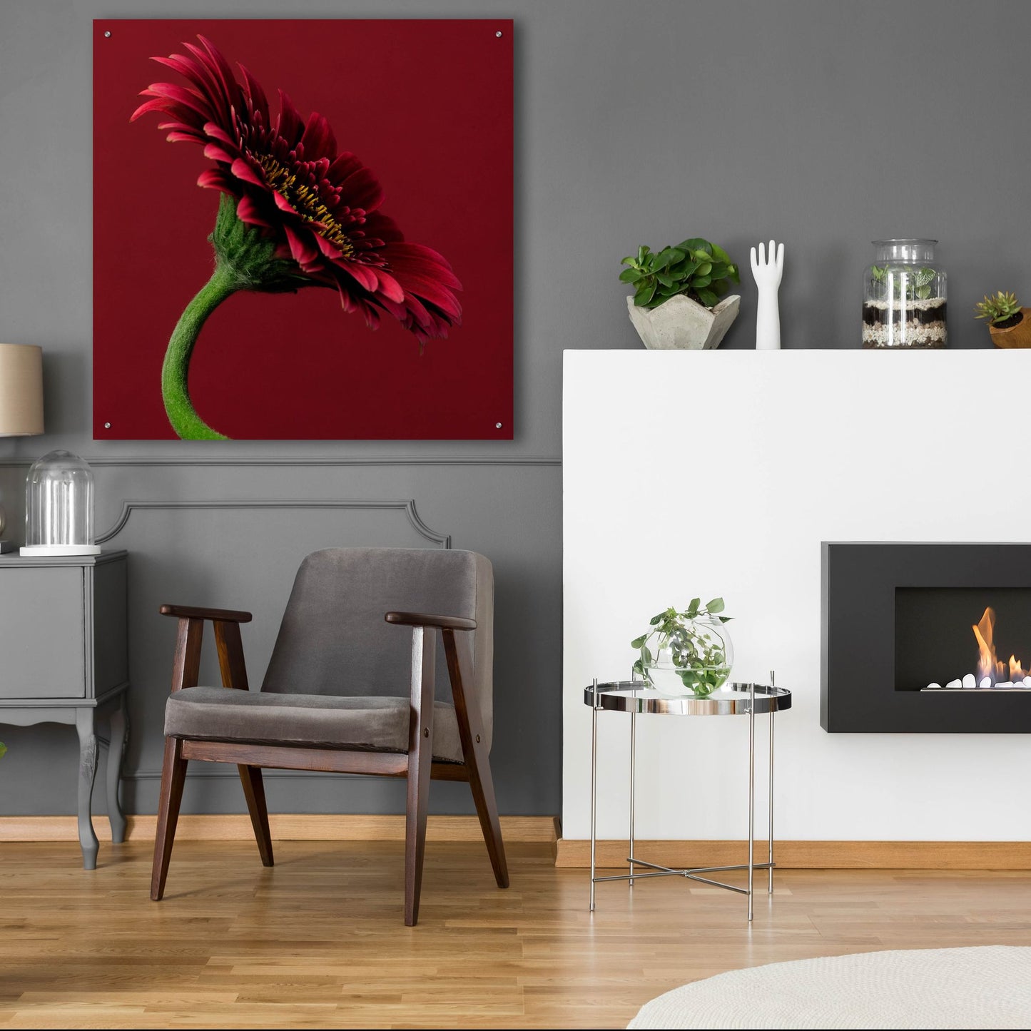 Epic Art 'Red Gerbera on Red 05' by Tom Quartermaine, Acrylic Glass Wall Art,36x36