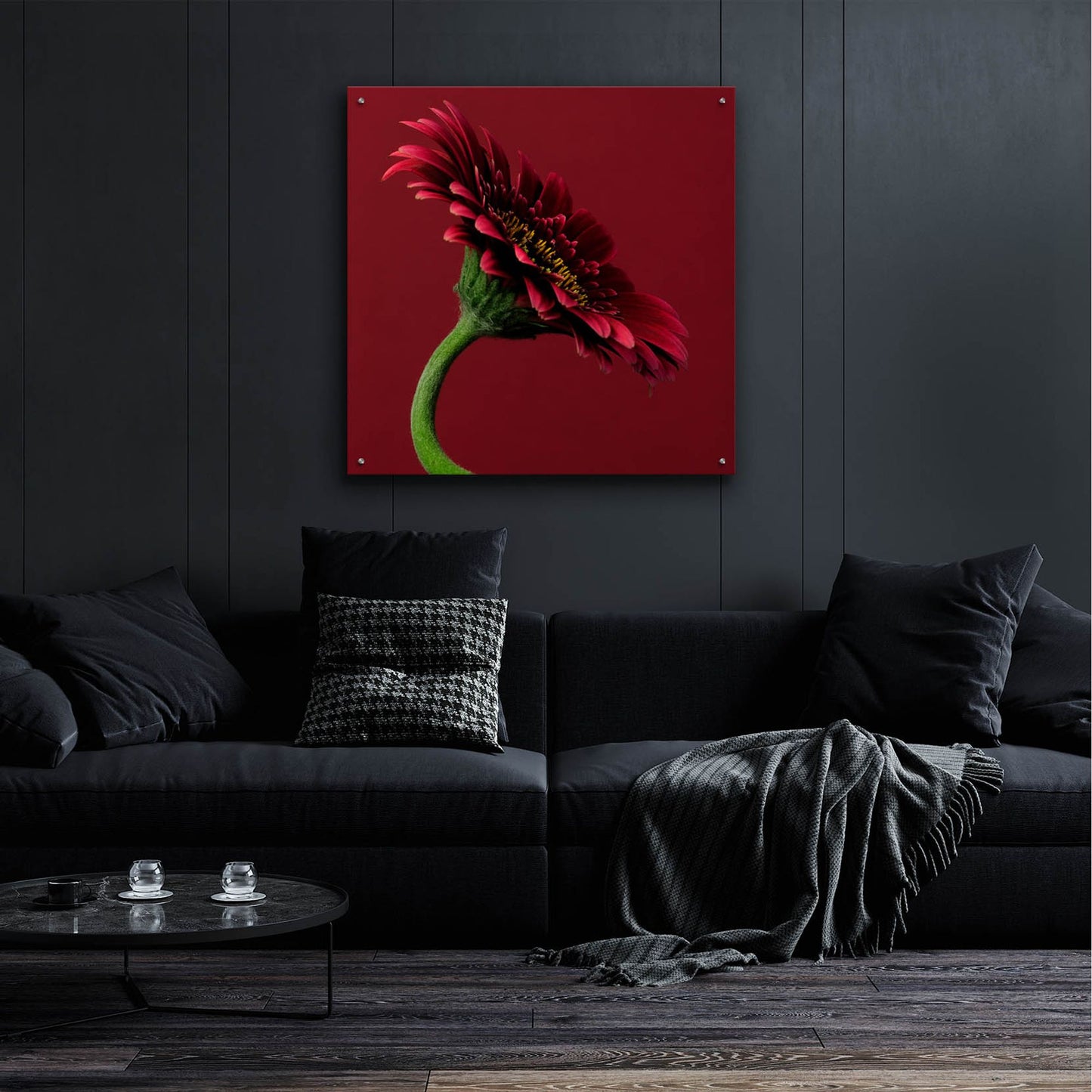 Epic Art 'Red Gerbera on Red 05' by Tom Quartermaine, Acrylic Glass Wall Art,36x36