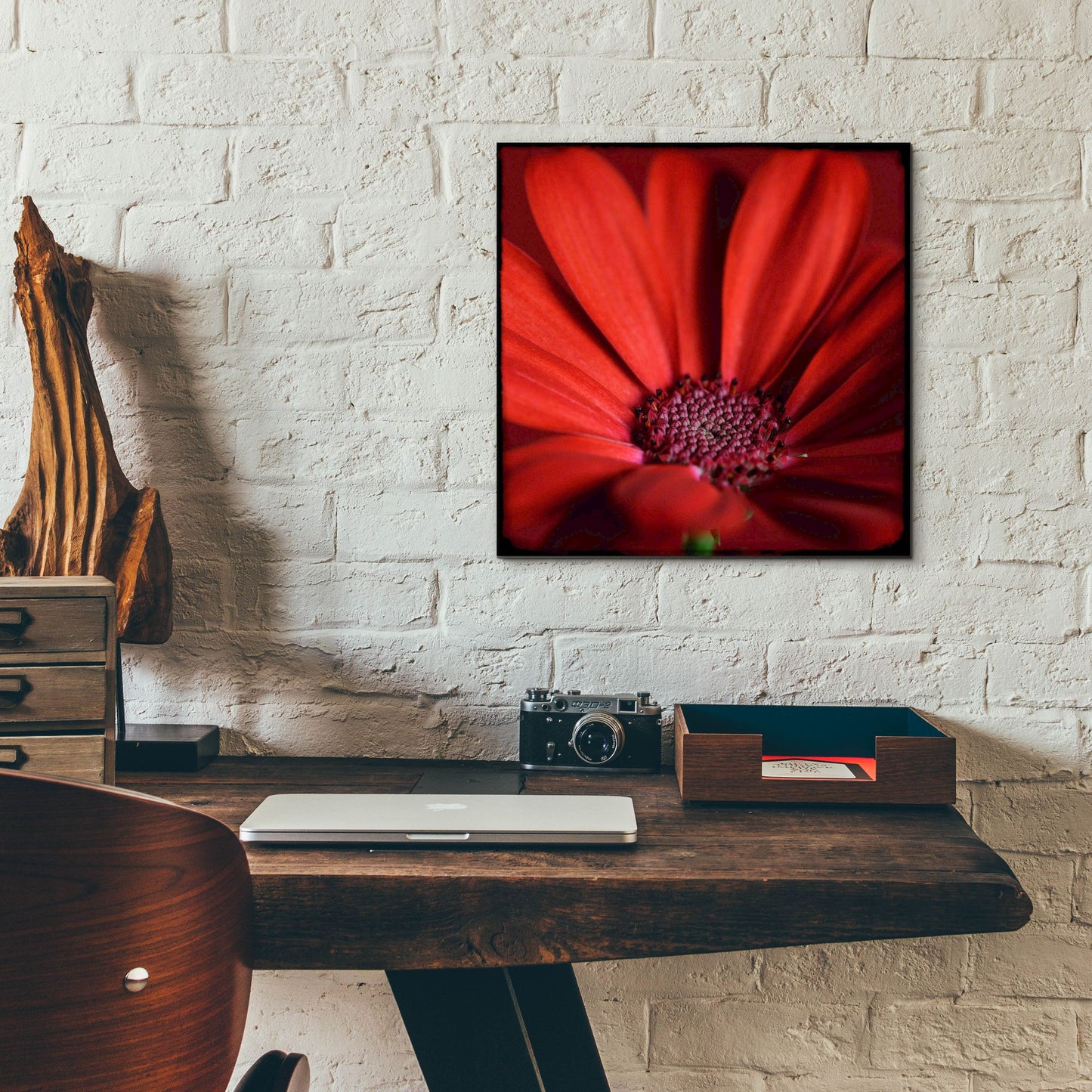 Epic Art 'Red Gerbera on Red 06' by Tom Quartermaine, Acrylic Glass Wall Art,12x12