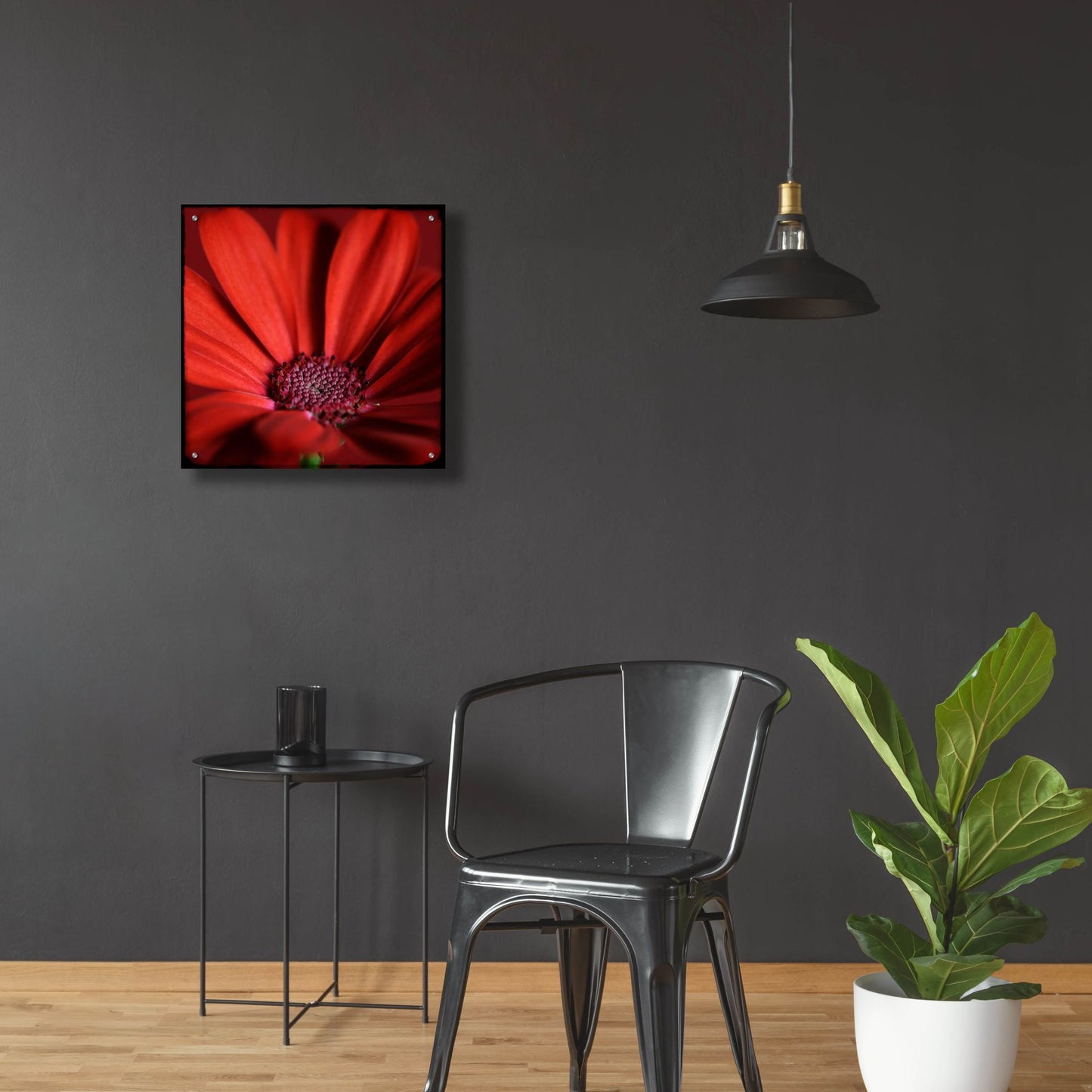 Epic Art 'Red Gerbera on Red 06' by Tom Quartermaine, Acrylic Glass Wall Art,24x24