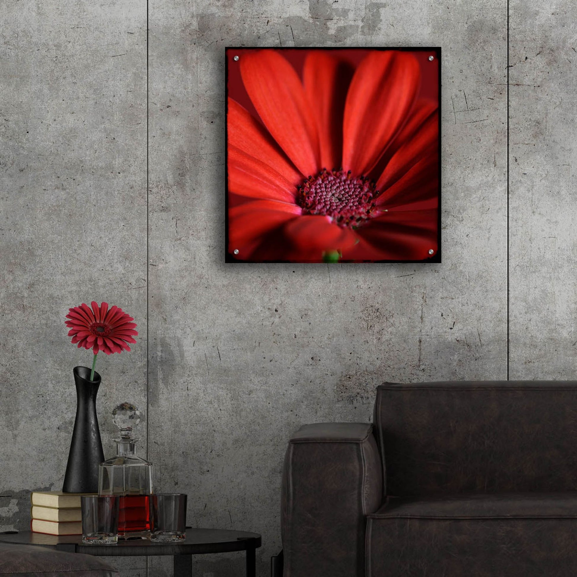 Epic Art 'Red Gerbera on Red 06' by Tom Quartermaine, Acrylic Glass Wall Art,24x24