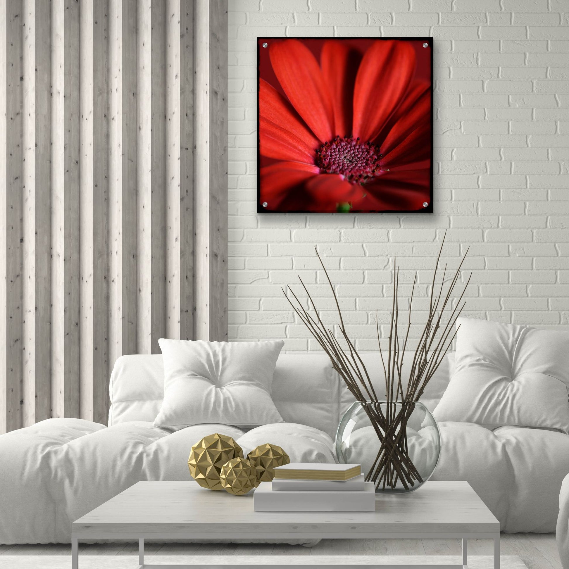 Epic Art 'Red Gerbera on Red 06' by Tom Quartermaine, Acrylic Glass Wall Art,24x24