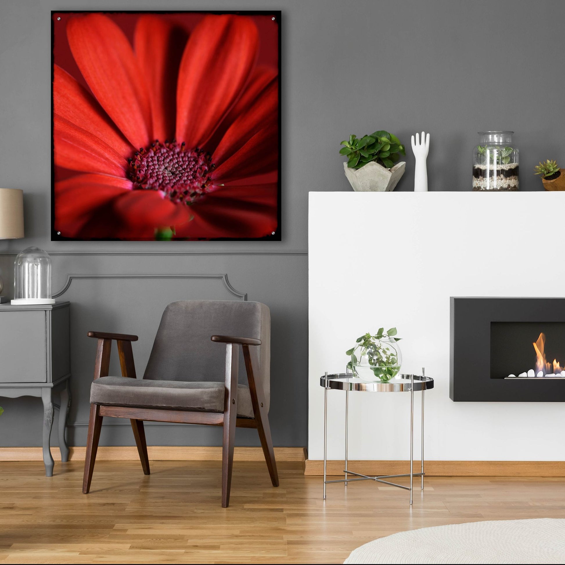 Epic Art 'Red Gerbera on Red 06' by Tom Quartermaine, Acrylic Glass Wall Art,36x36