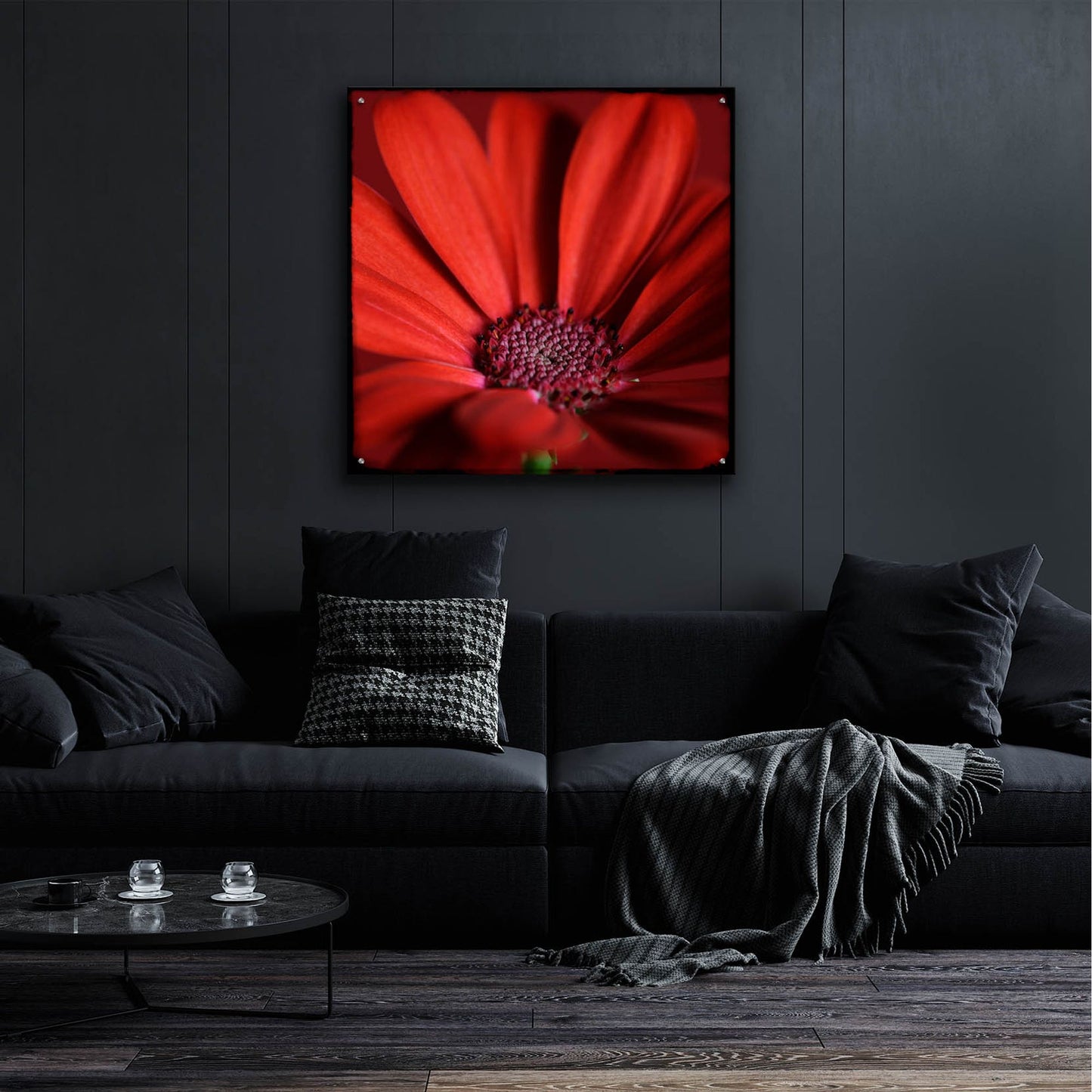 Epic Art 'Red Gerbera on Red 06' by Tom Quartermaine, Acrylic Glass Wall Art,36x36