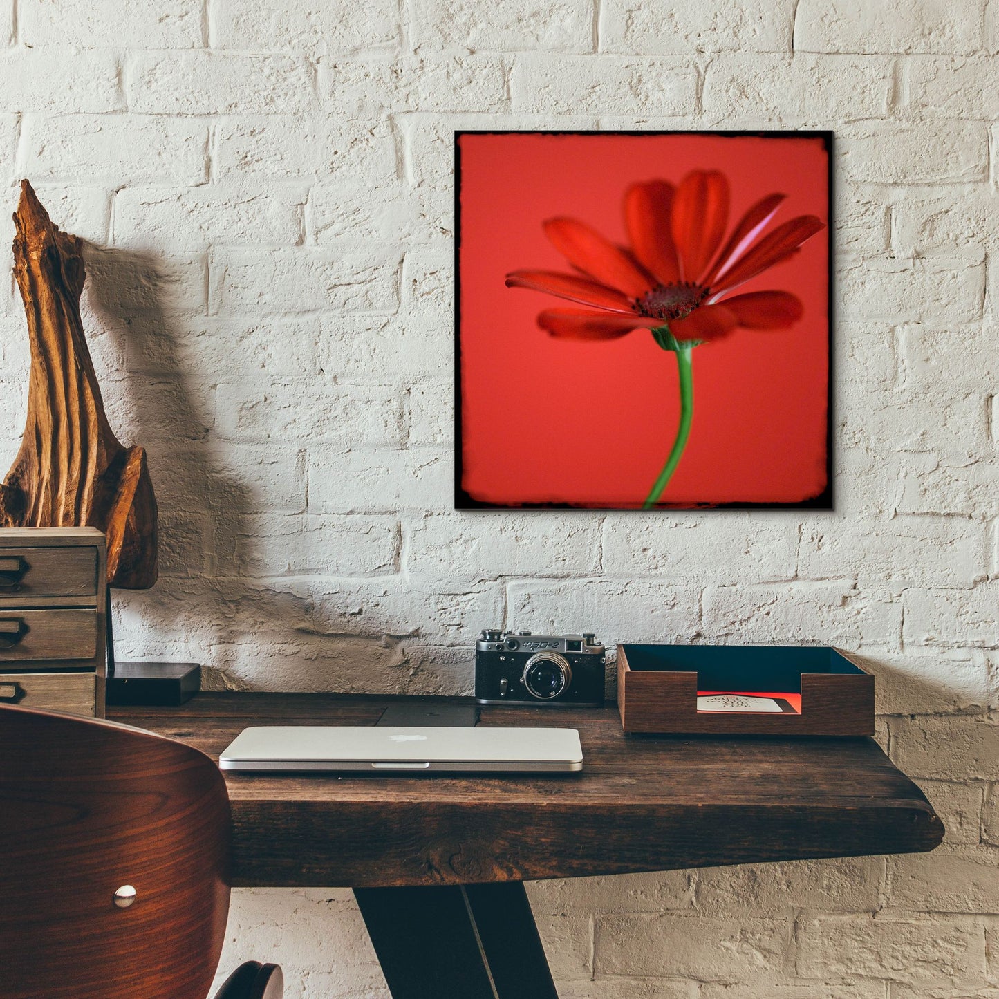 Epic Art 'Red Gerbera on Red 07' by Tom Quartermaine, Acrylic Glass Wall Art,12x12