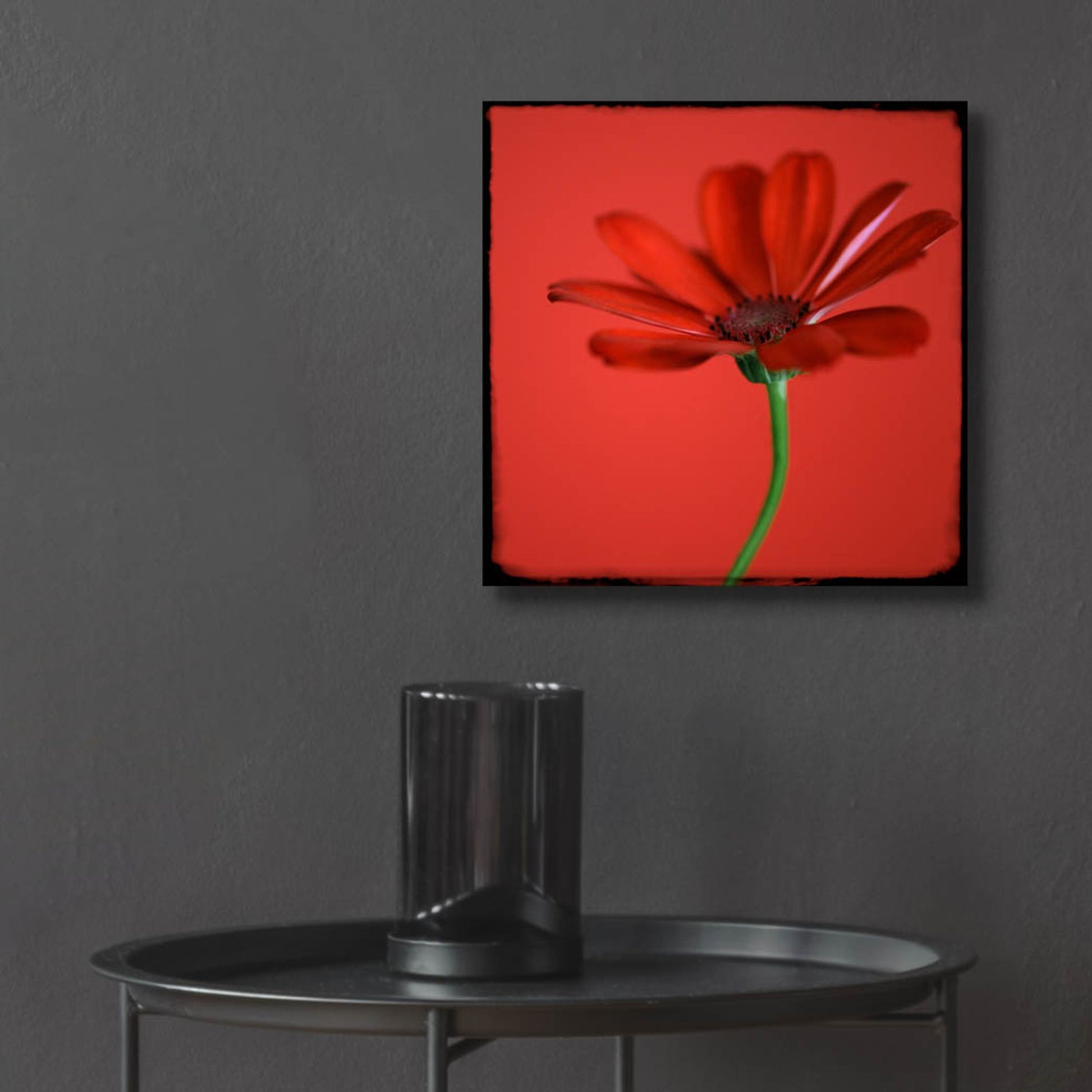 Epic Art 'Red Gerbera on Red 07' by Tom Quartermaine, Acrylic Glass Wall Art,12x12