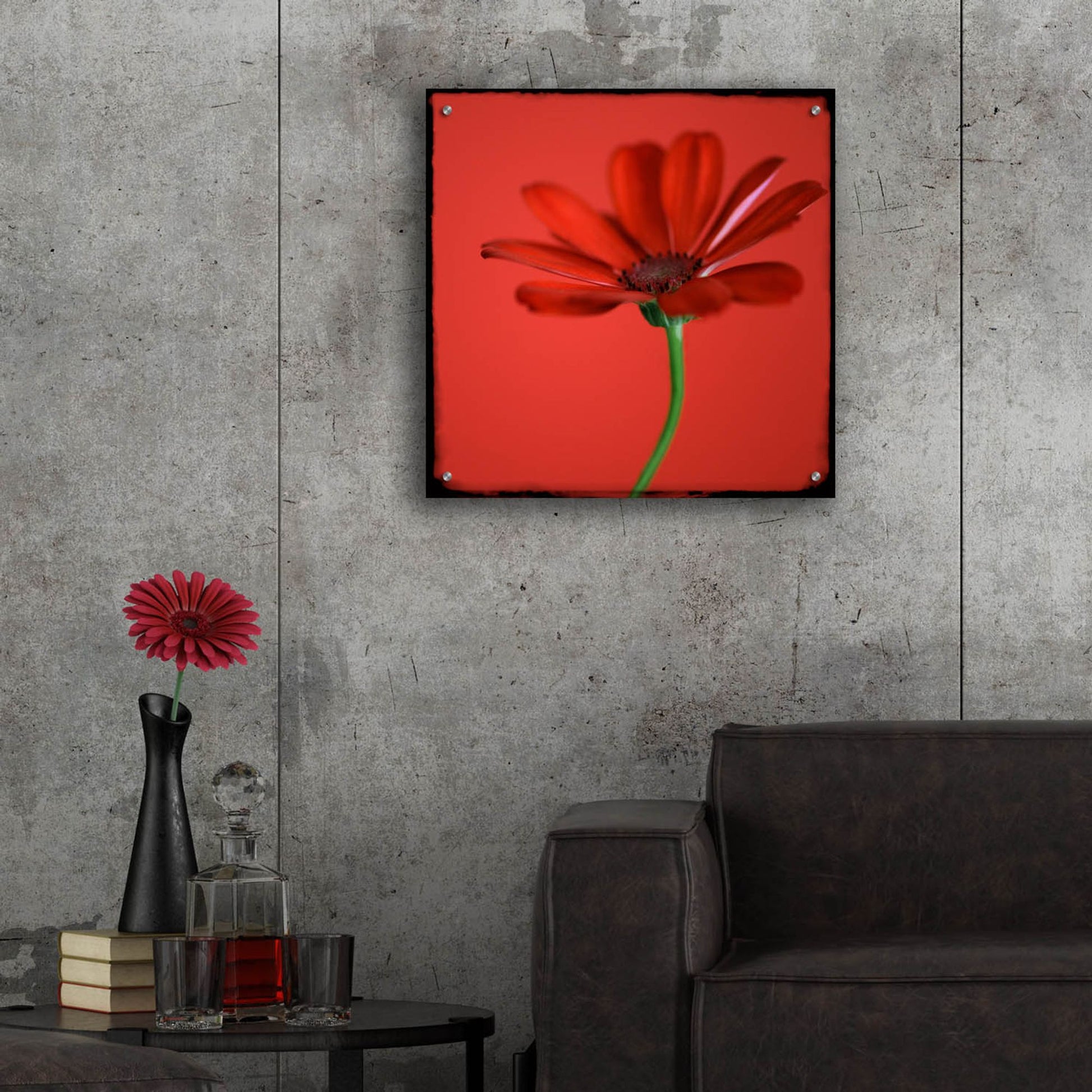 Epic Art 'Red Gerbera on Red 07' by Tom Quartermaine, Acrylic Glass Wall Art,24x24