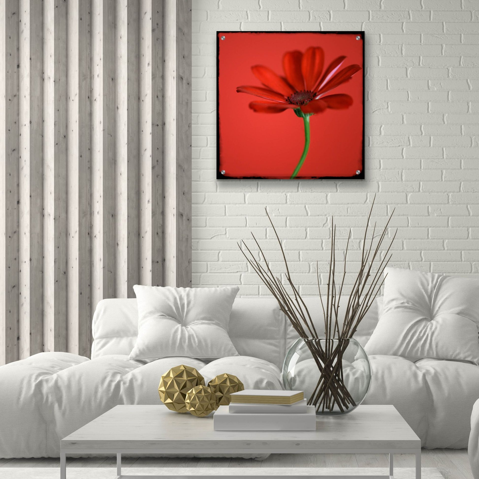 Epic Art 'Red Gerbera on Red 07' by Tom Quartermaine, Acrylic Glass Wall Art,24x24