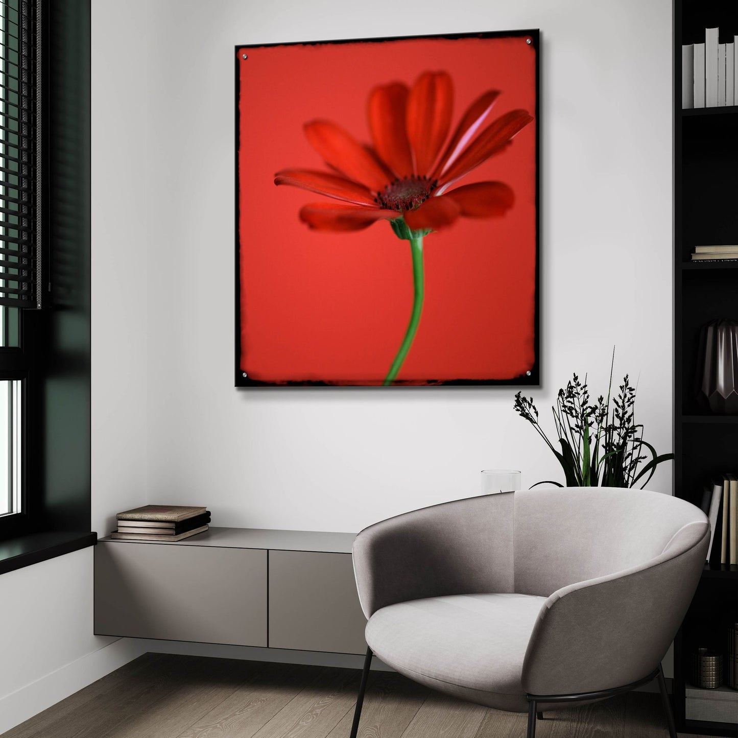 Epic Art 'Red Gerbera on Red 07' by Tom Quartermaine, Acrylic Glass Wall Art,36x36