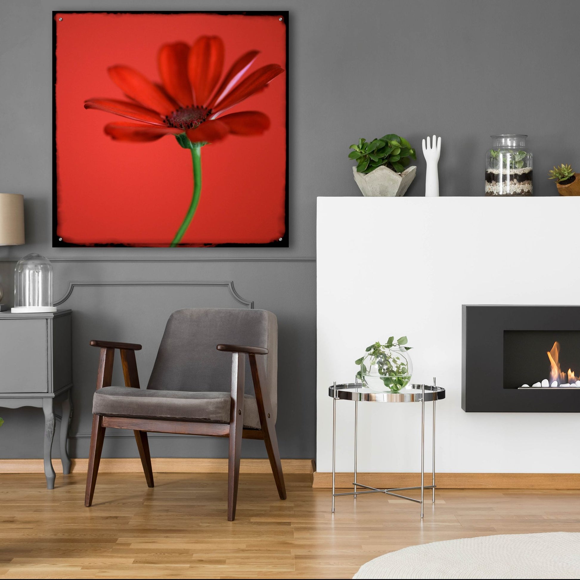 Epic Art 'Red Gerbera on Red 07' by Tom Quartermaine, Acrylic Glass Wall Art,36x36