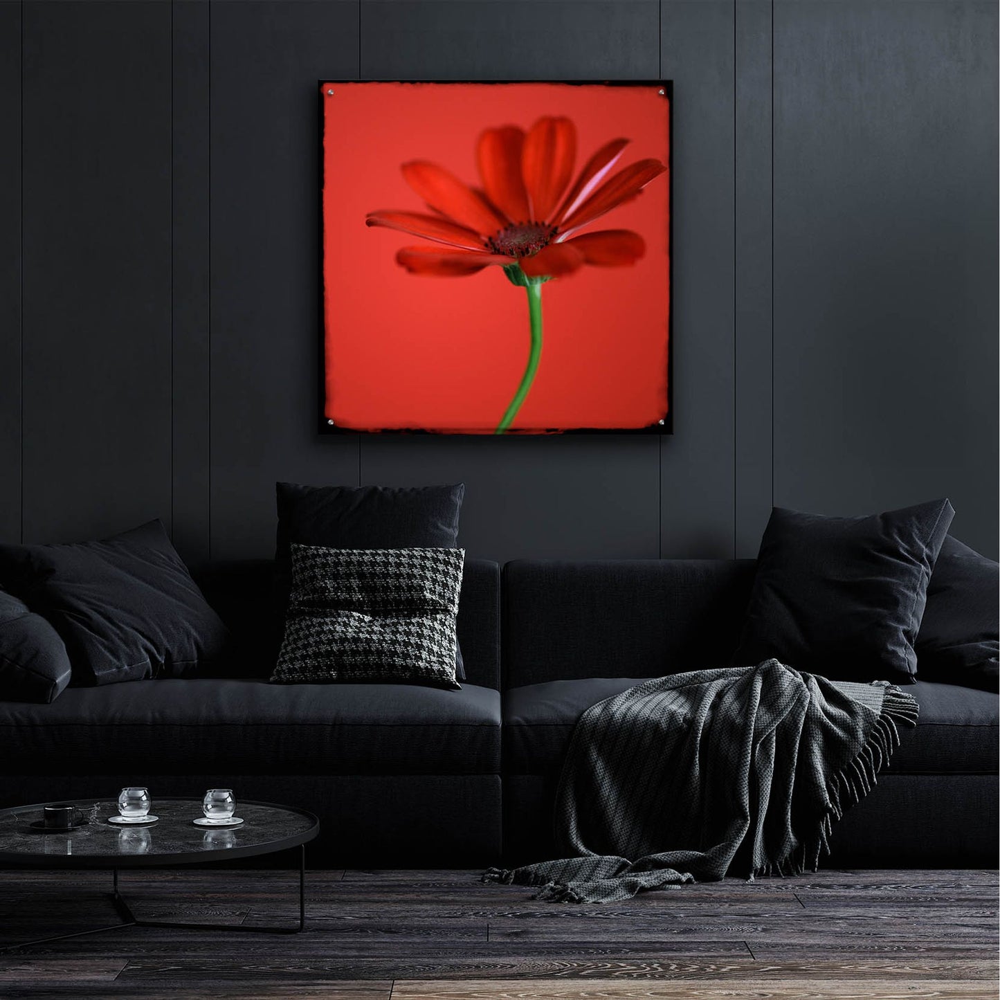 Epic Art 'Red Gerbera on Red 07' by Tom Quartermaine, Acrylic Glass Wall Art,36x36