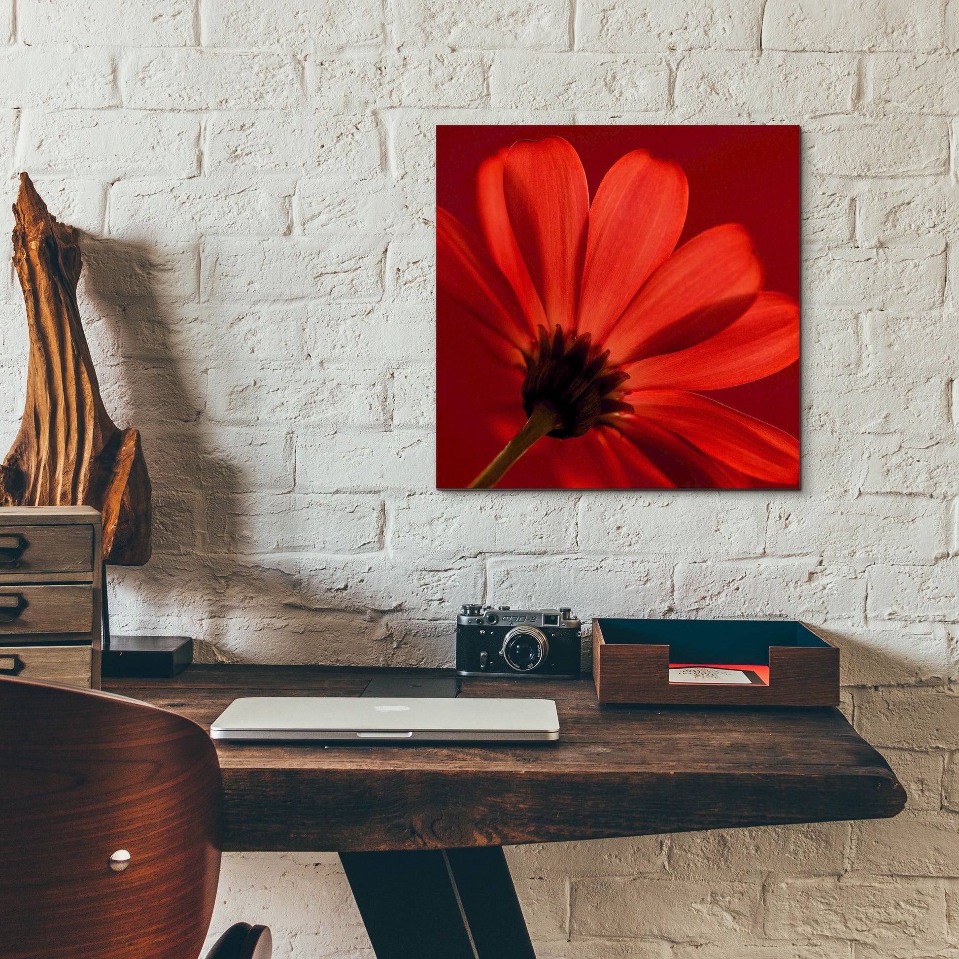 Epic Art 'Red Gerbera on Red 08' by Tom Quartermaine, Acrylic Glass Wall Art,12x12