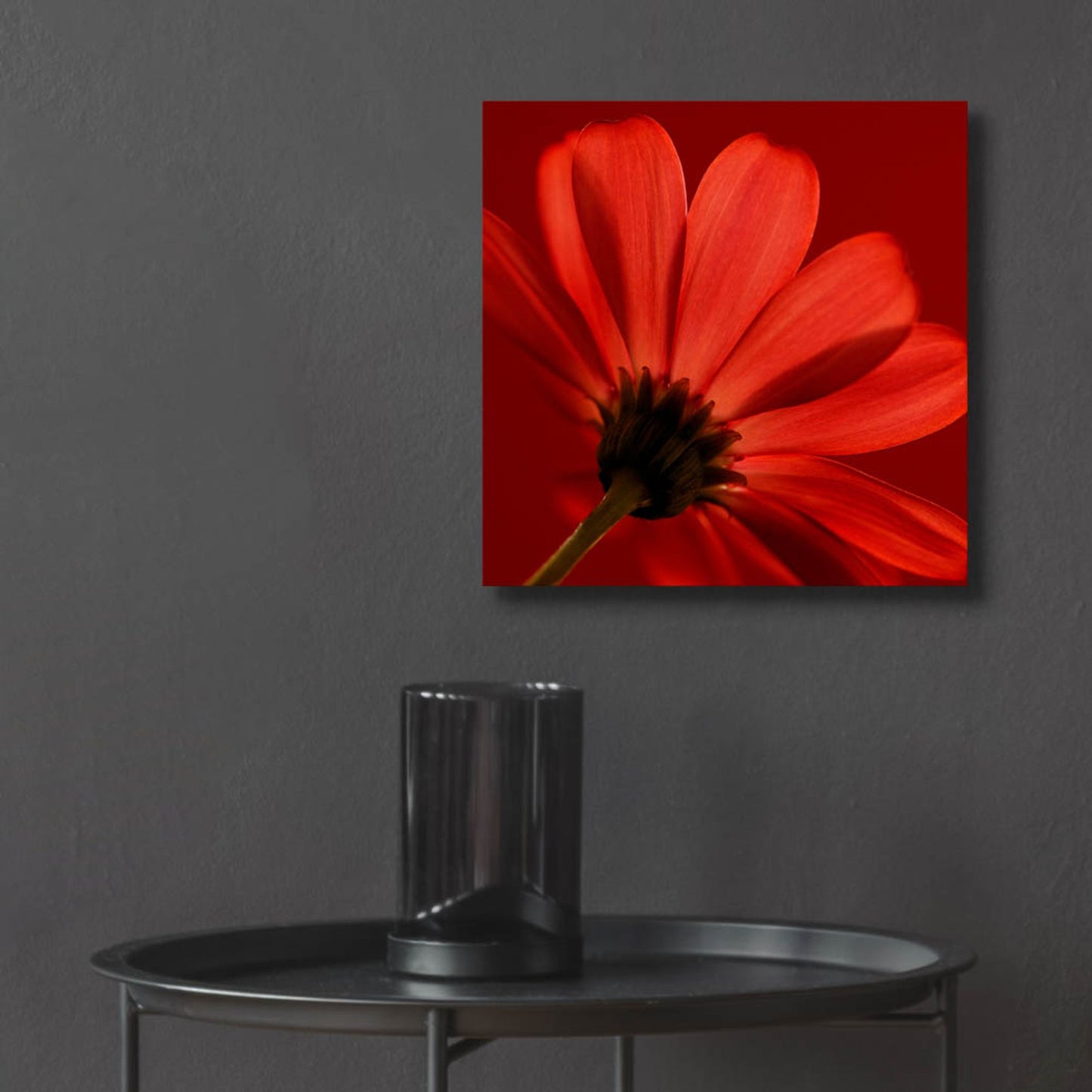 Epic Art 'Red Gerbera on Red 08' by Tom Quartermaine, Acrylic Glass Wall Art,12x12