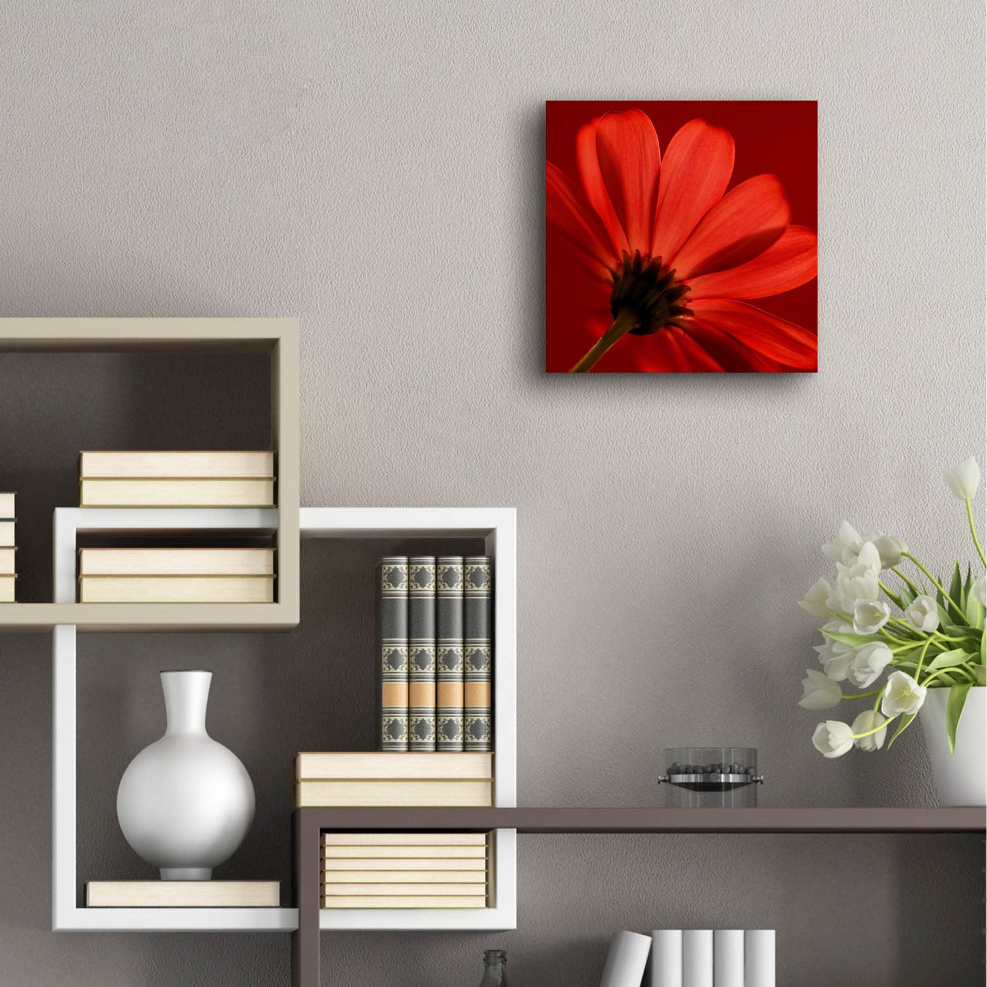 Epic Art 'Red Gerbera on Red 08' by Tom Quartermaine, Acrylic Glass Wall Art,12x12