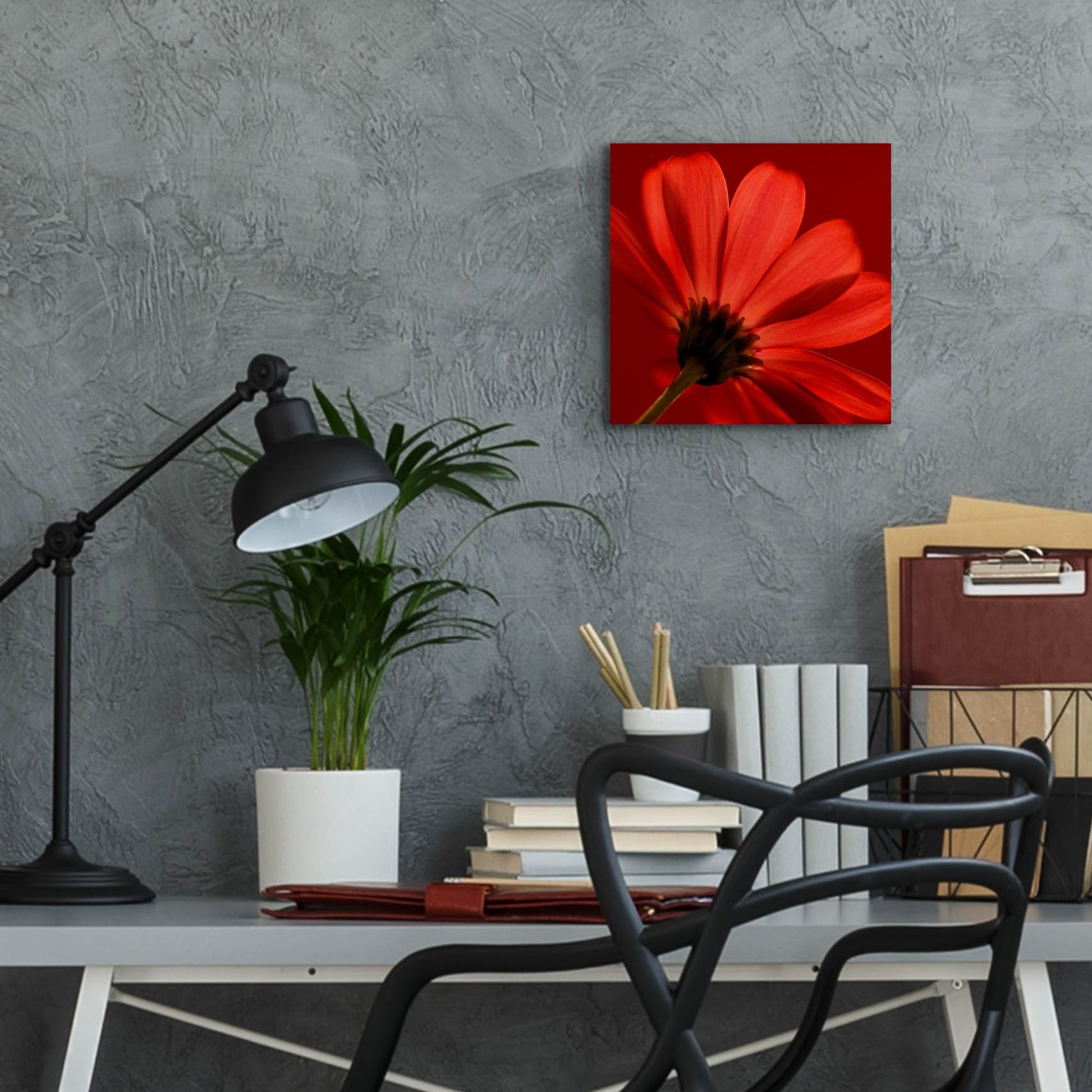 Epic Art 'Red Gerbera on Red 08' by Tom Quartermaine, Acrylic Glass Wall Art,12x12