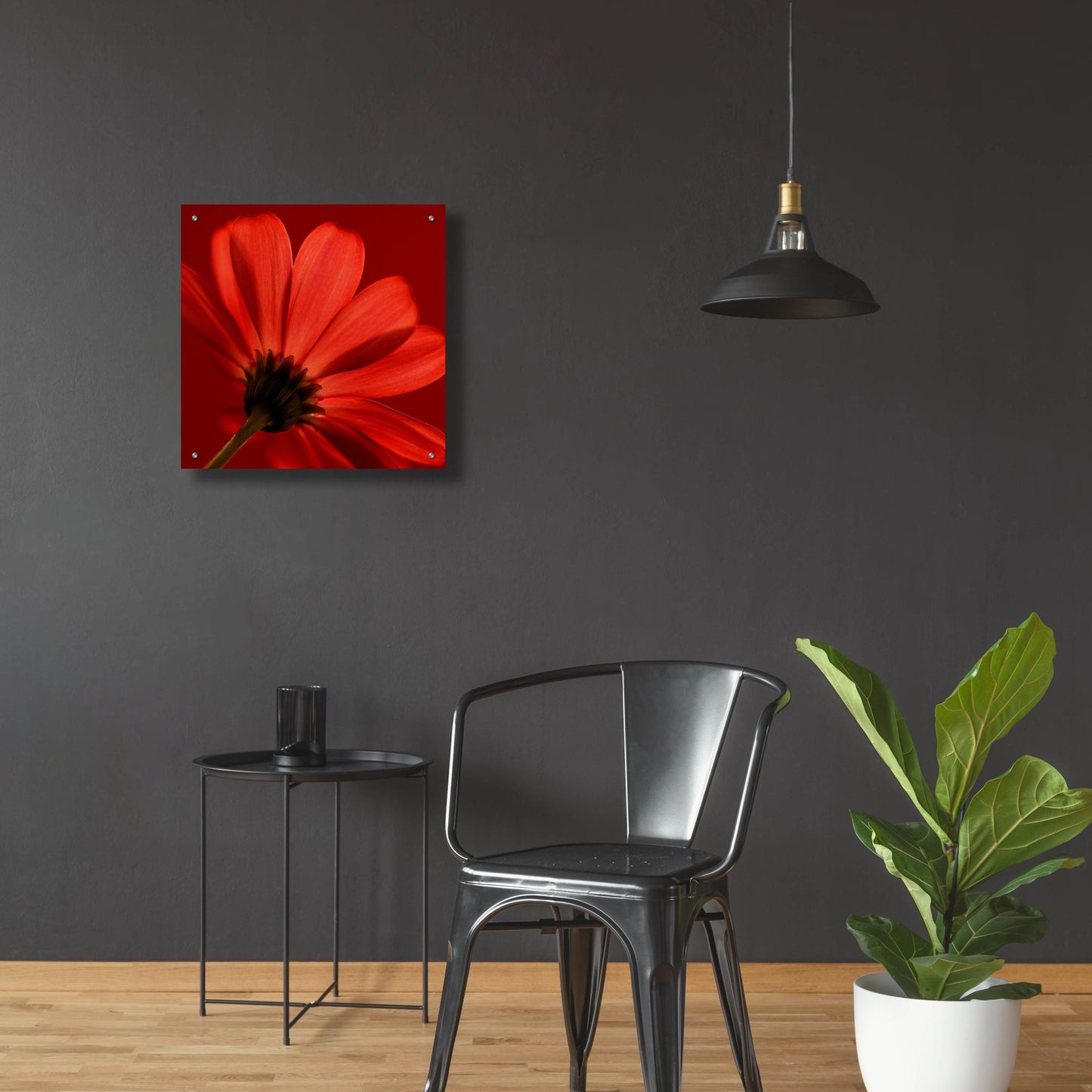 Epic Art 'Red Gerbera on Red 08' by Tom Quartermaine, Acrylic Glass Wall Art,24x24