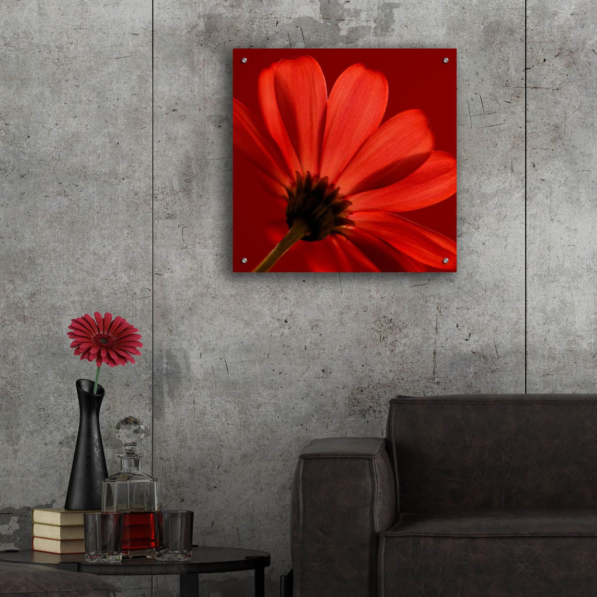 Epic Art 'Red Gerbera on Red 08' by Tom Quartermaine, Acrylic Glass Wall Art,24x24