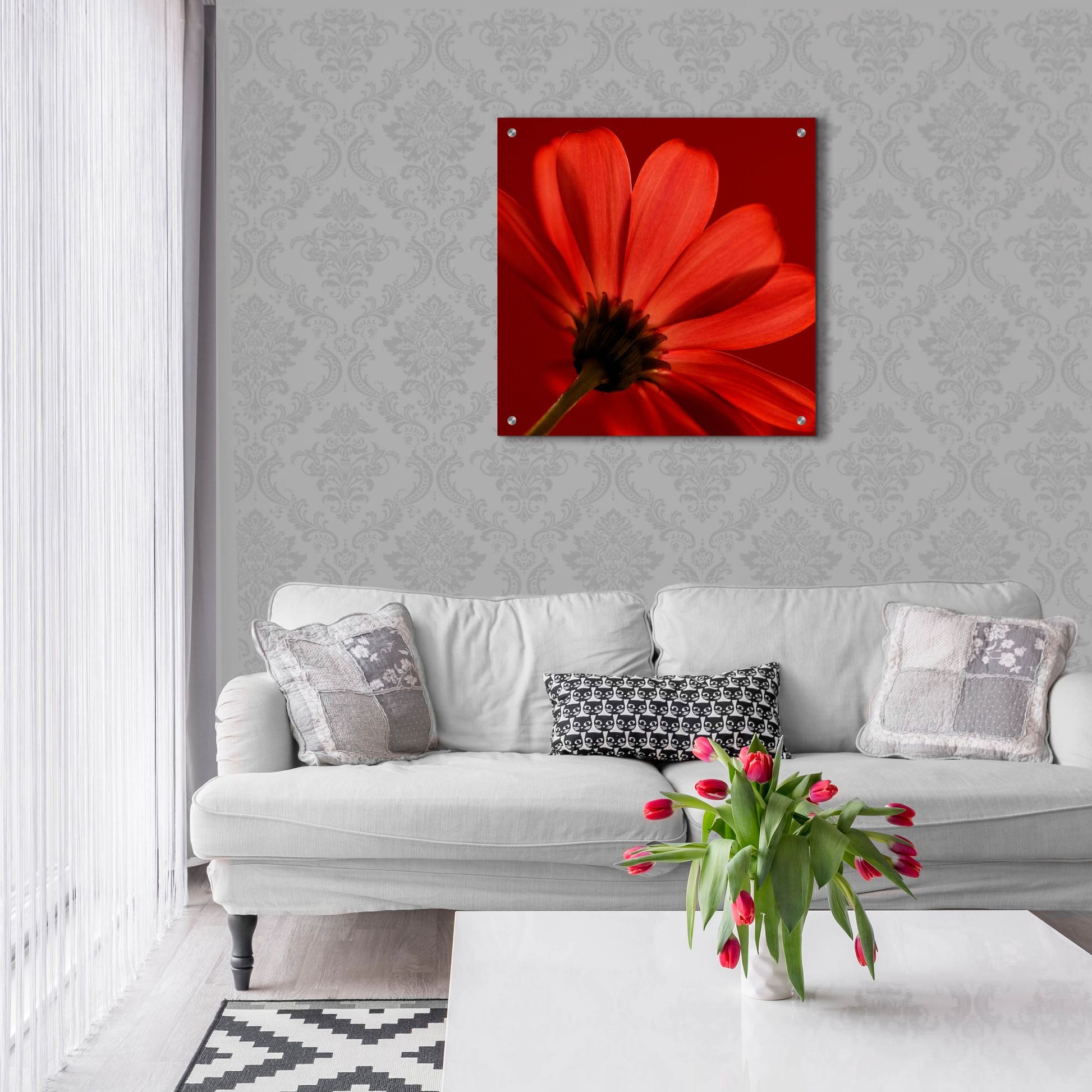 Epic Art 'Red Gerbera on Red 08' by Tom Quartermaine, Acrylic Glass Wall Art,24x24