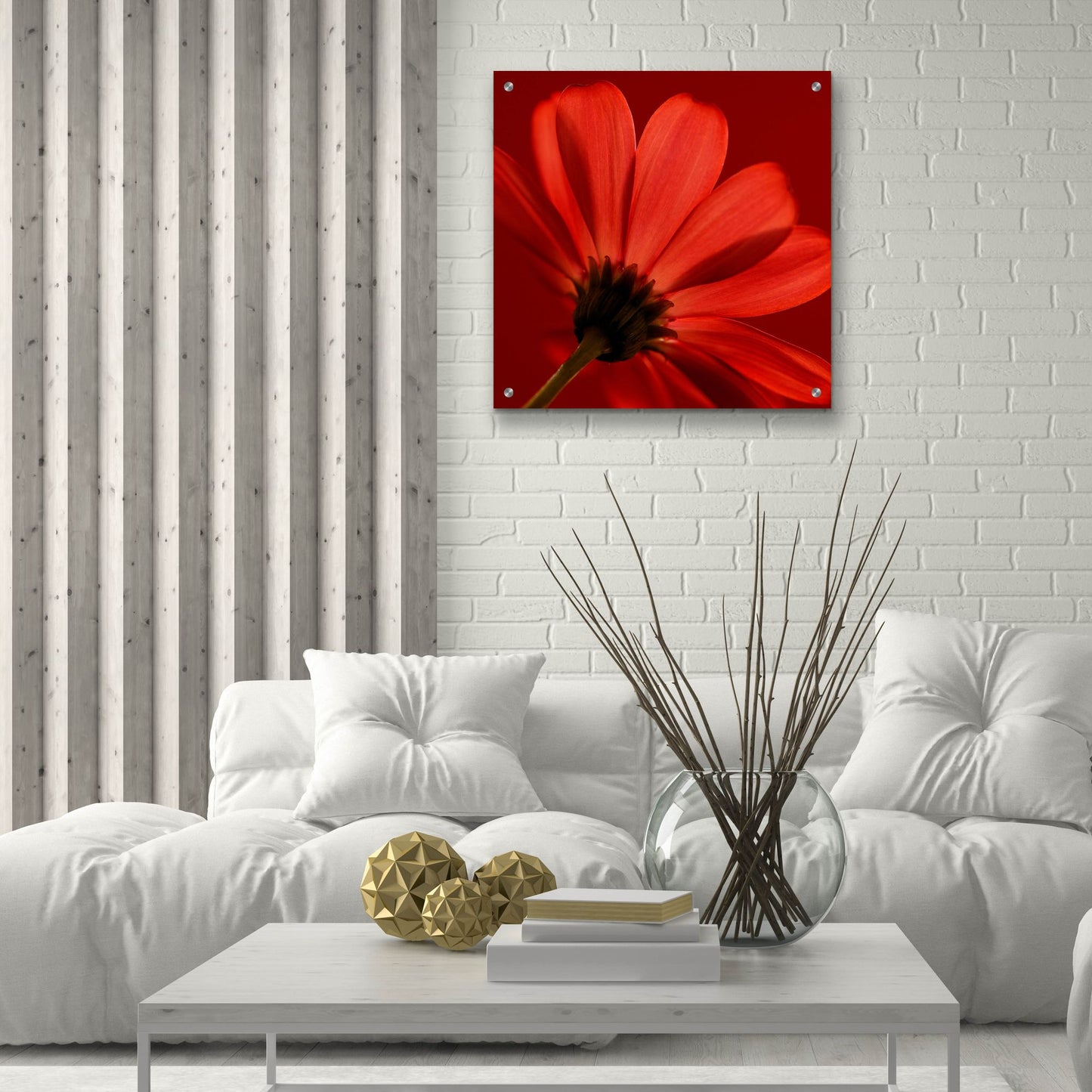 Epic Art 'Red Gerbera on Red 08' by Tom Quartermaine, Acrylic Glass Wall Art,24x24