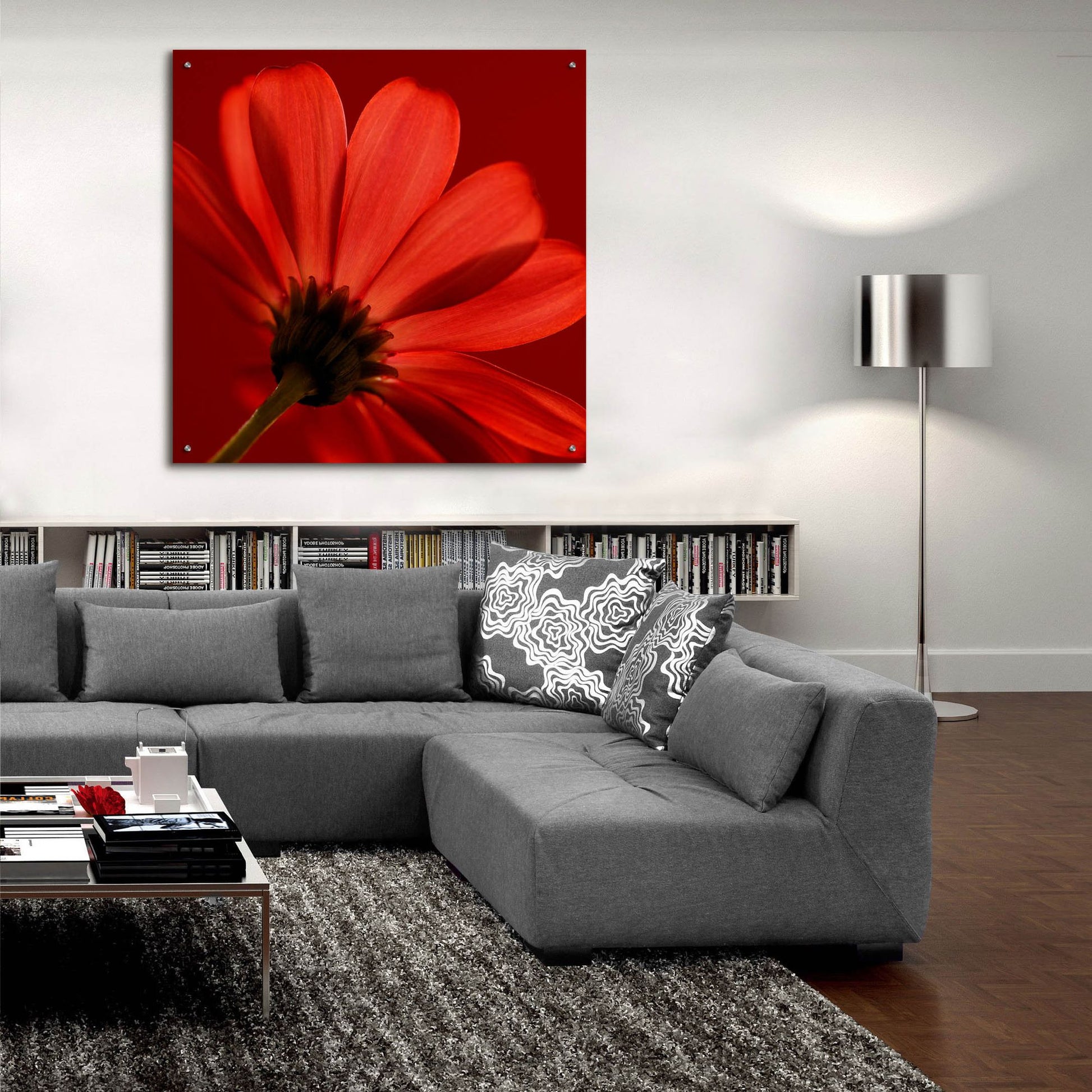 Epic Art 'Red Gerbera on Red 08' by Tom Quartermaine, Acrylic Glass Wall Art,36x36