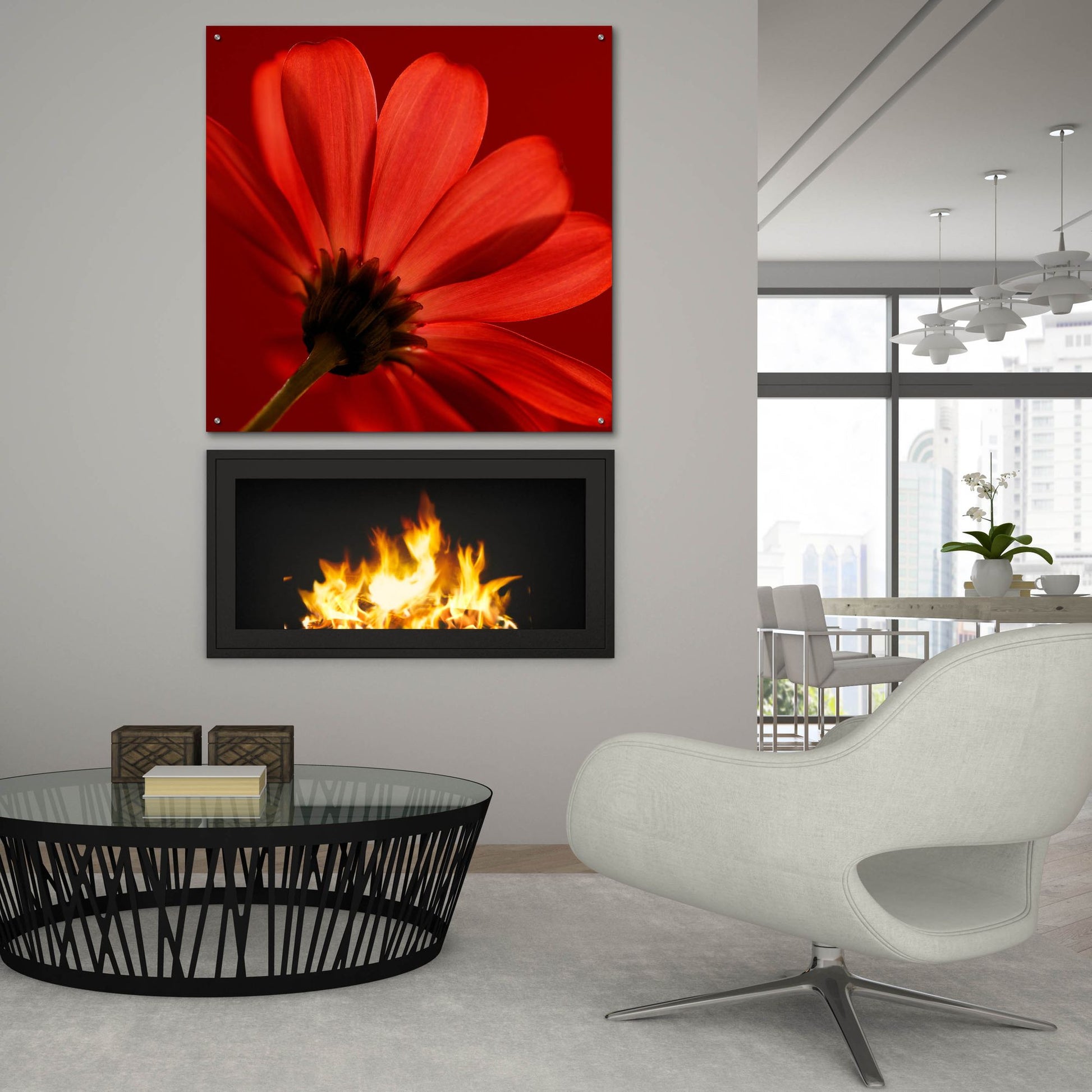 Epic Art 'Red Gerbera on Red 08' by Tom Quartermaine, Acrylic Glass Wall Art,36x36