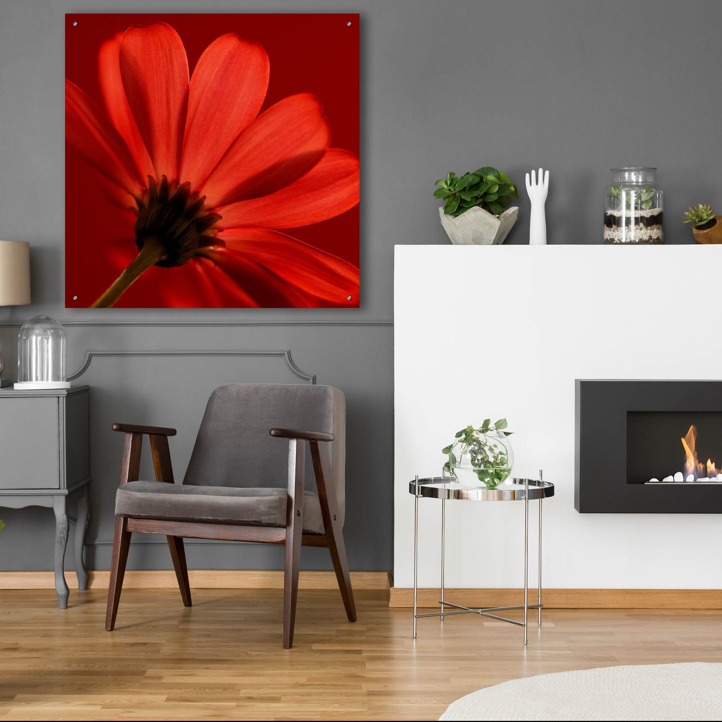 Epic Art 'Red Gerbera on Red 08' by Tom Quartermaine, Acrylic Glass Wall Art,36x36