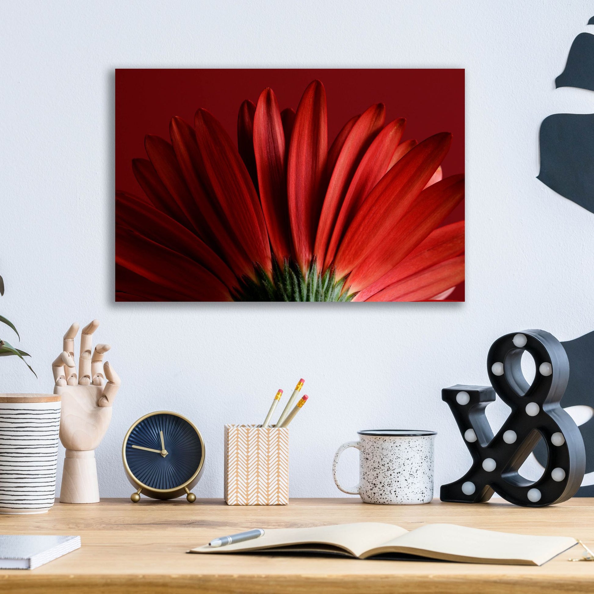 Epic Art 'Red Gerbera on Red 09' by Tom Quartermaine, Acrylic Glass Wall Art,16x12