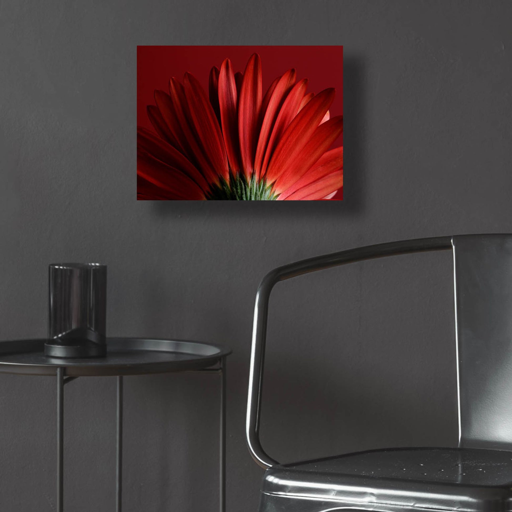 Epic Art 'Red Gerbera on Red 09' by Tom Quartermaine, Acrylic Glass Wall Art,16x12