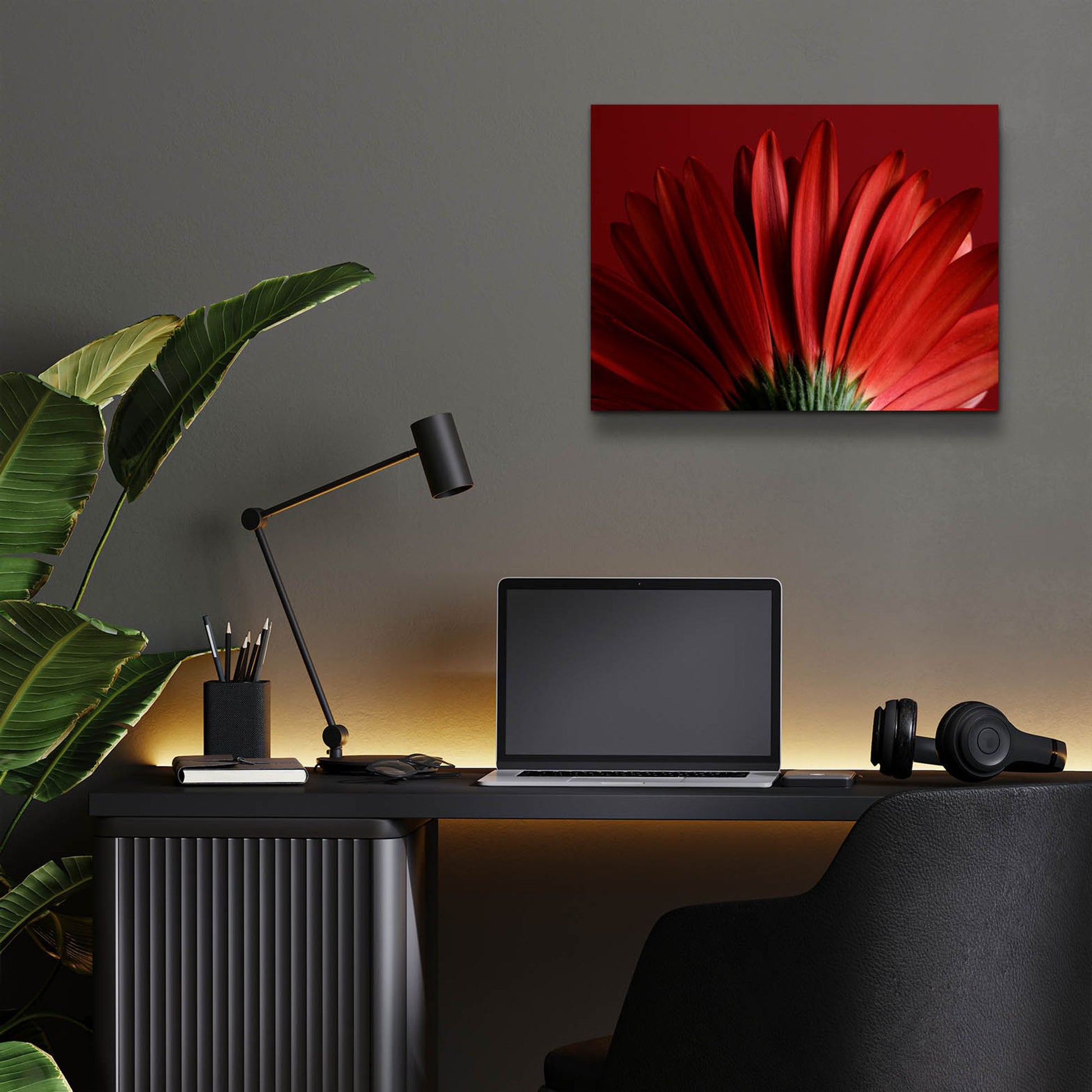 Epic Art 'Red Gerbera on Red 09' by Tom Quartermaine, Acrylic Glass Wall Art,16x12