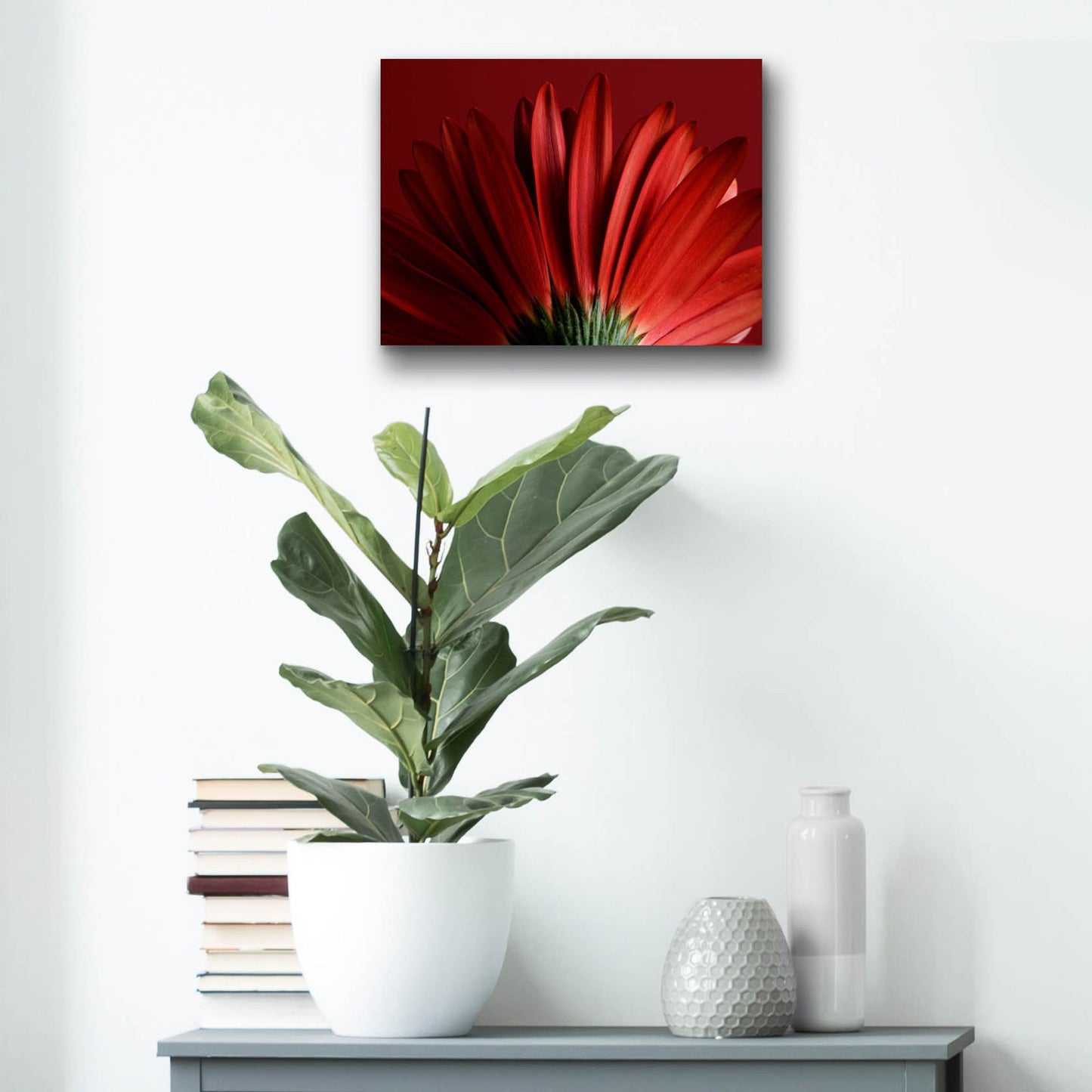 Epic Art 'Red Gerbera on Red 09' by Tom Quartermaine, Acrylic Glass Wall Art,16x12