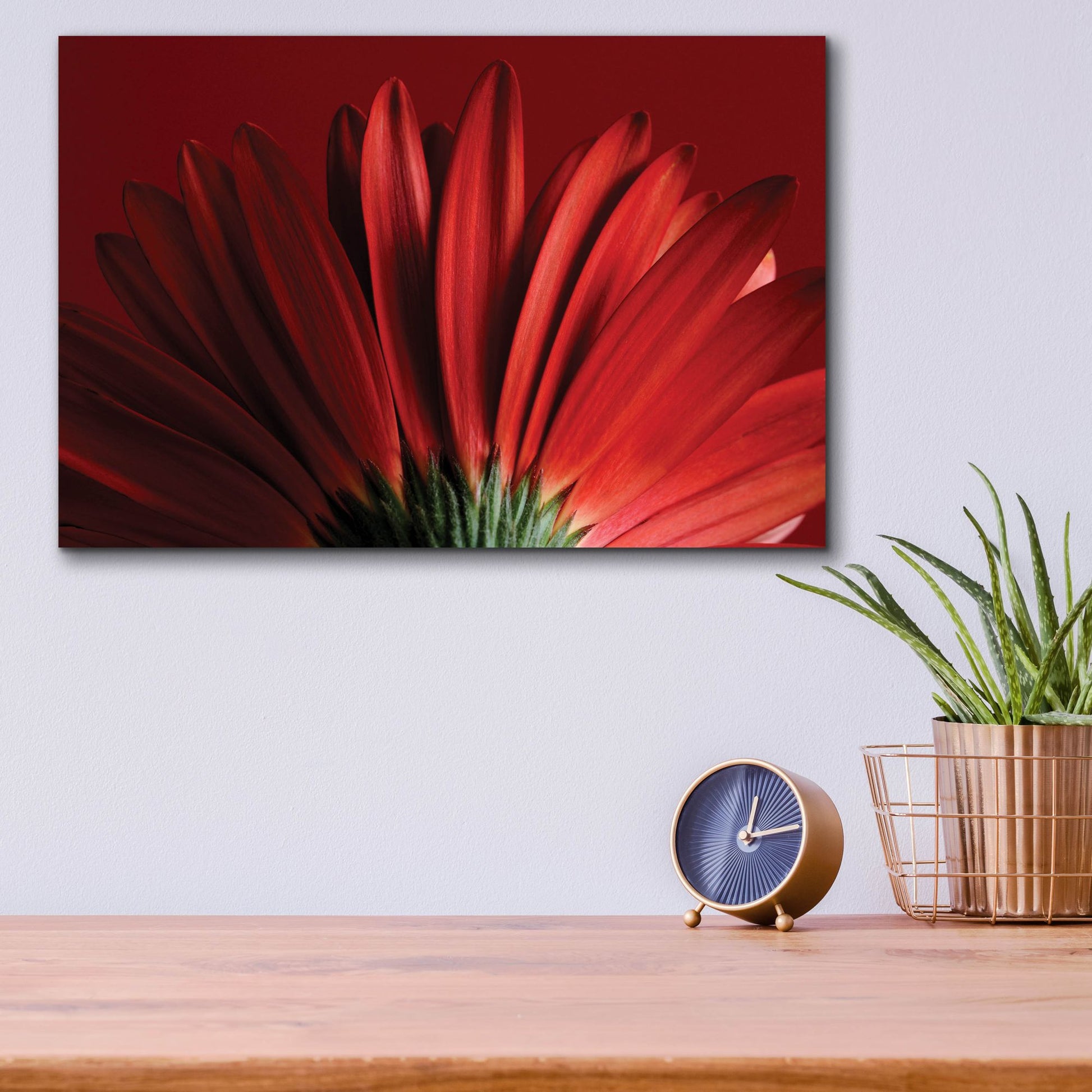 Epic Art 'Red Gerbera on Red 09' by Tom Quartermaine, Acrylic Glass Wall Art,16x12