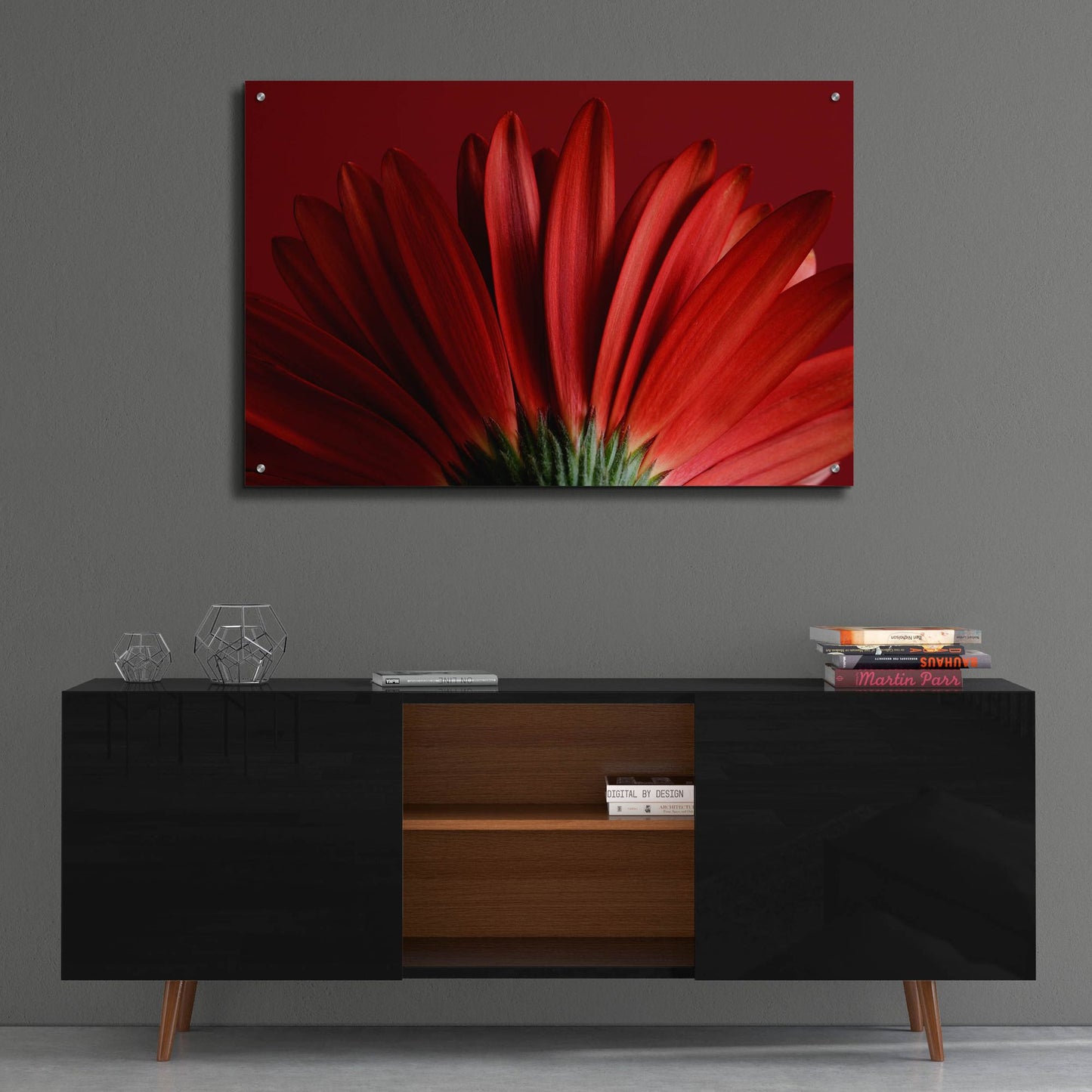 Epic Art 'Red Gerbera on Red 09' by Tom Quartermaine, Acrylic Glass Wall Art,36x24