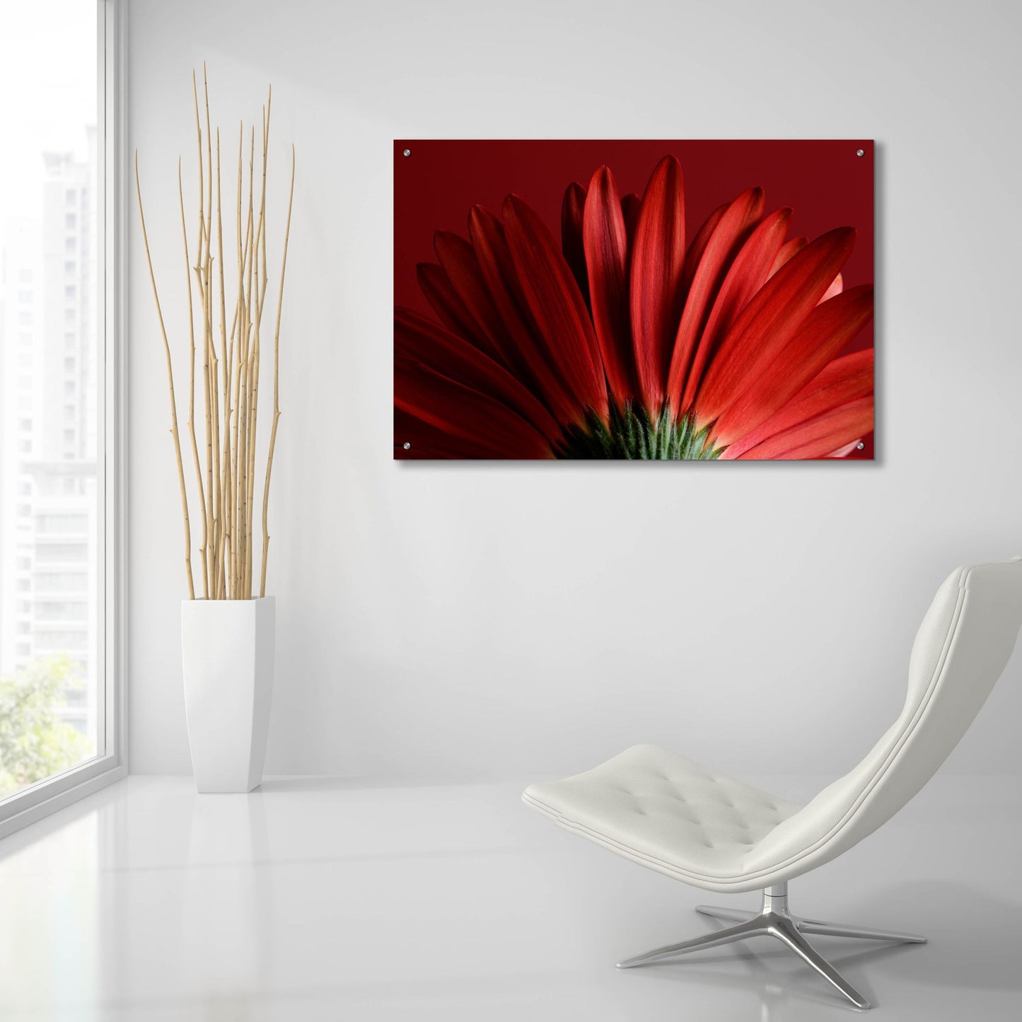 Epic Art 'Red Gerbera on Red 09' by Tom Quartermaine, Acrylic Glass Wall Art,36x24