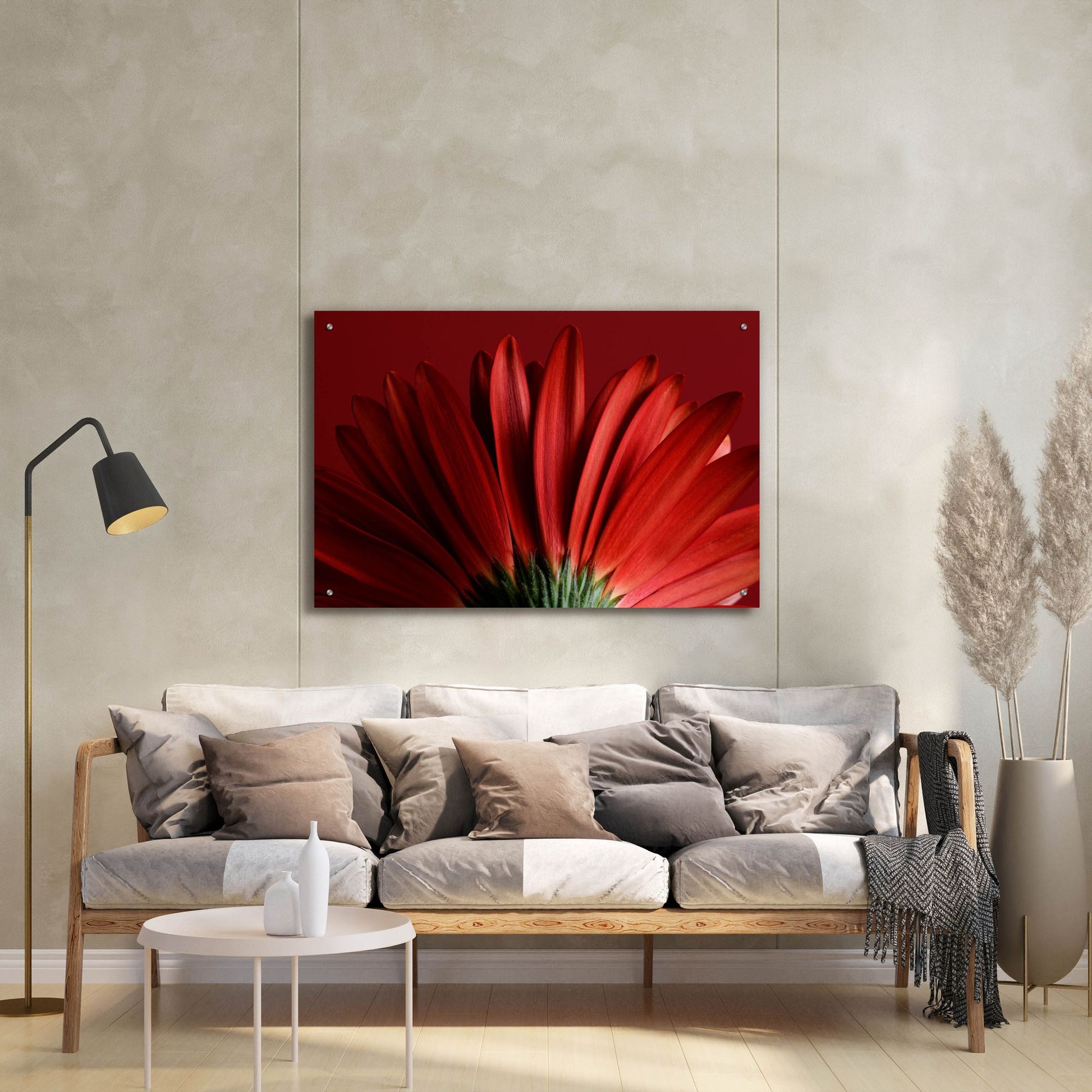 Epic Art 'Red Gerbera on Red 09' by Tom Quartermaine, Acrylic Glass Wall Art,36x24